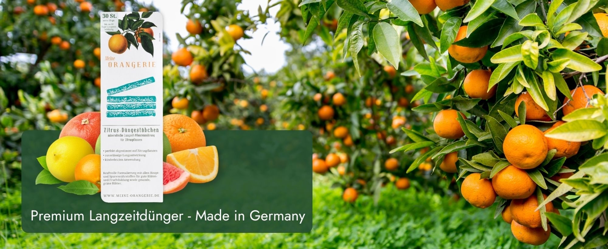 Meine Orangerie Düngestäbchen - 30 Sticks - bis zu 90 Tage Langzeitwirkung - mineralischer Zitrusdünger - Optimale Pflanzennahrung für Zitruspflanzen