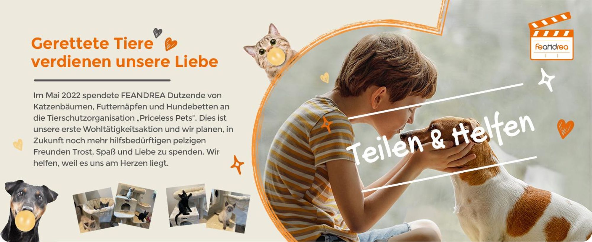 Feandrea M Transportbox faltbar Oxford-Gewebe,Netzstoff,atmungsaktiv,Grau