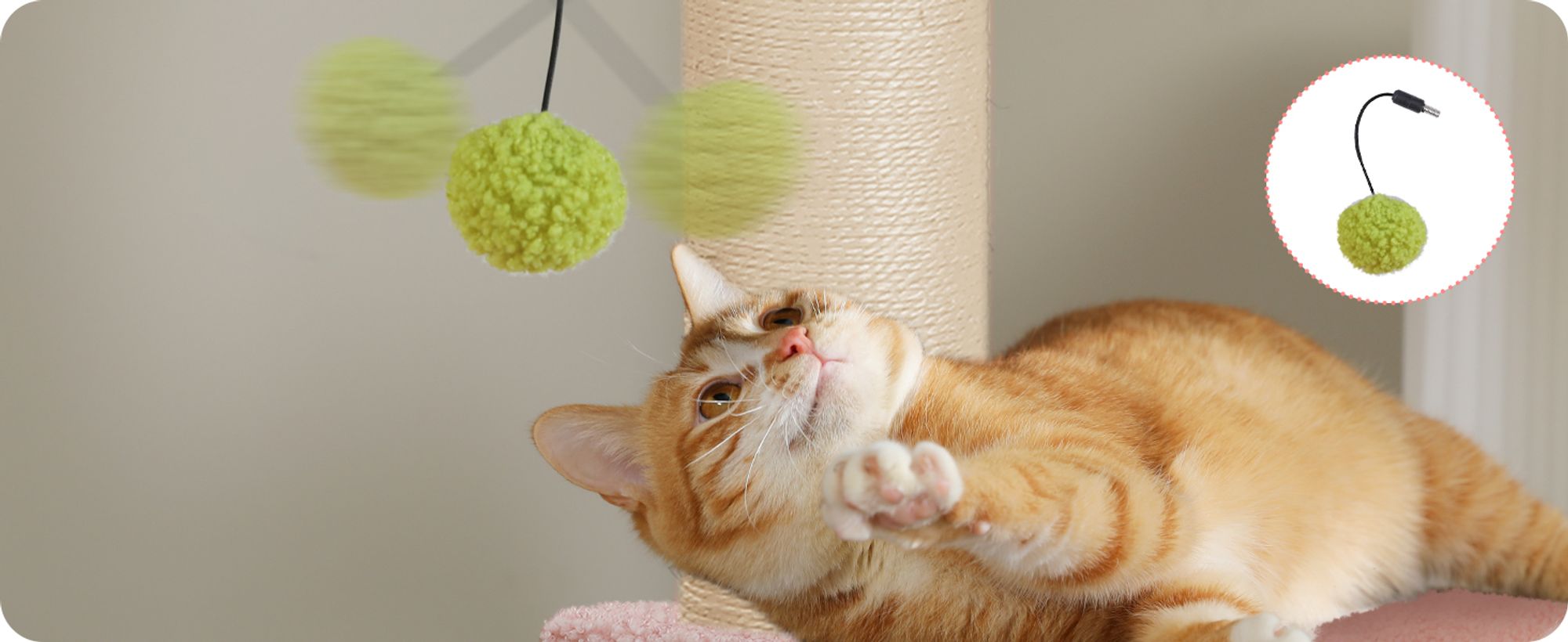 Purpurra Kratzbaum Extra-Dick Stämme XXL Stabil für Grosse Katzen, 114/170 cm