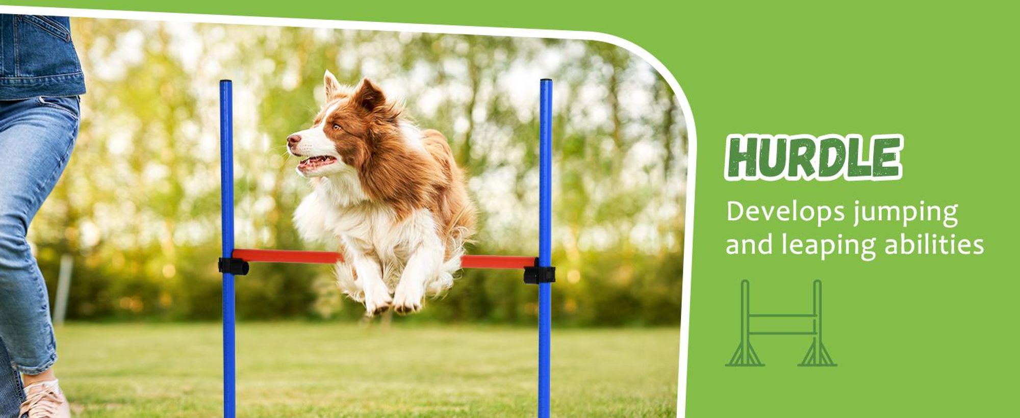 PawHut Dog Agility Training Equipment, zestaw do ćwiczeń agility, zestaw do agility dla psów, slalom z przeszkodami dla psów, 3 w 1, strefa treningowa dla psów, niebiesko-czerwona
