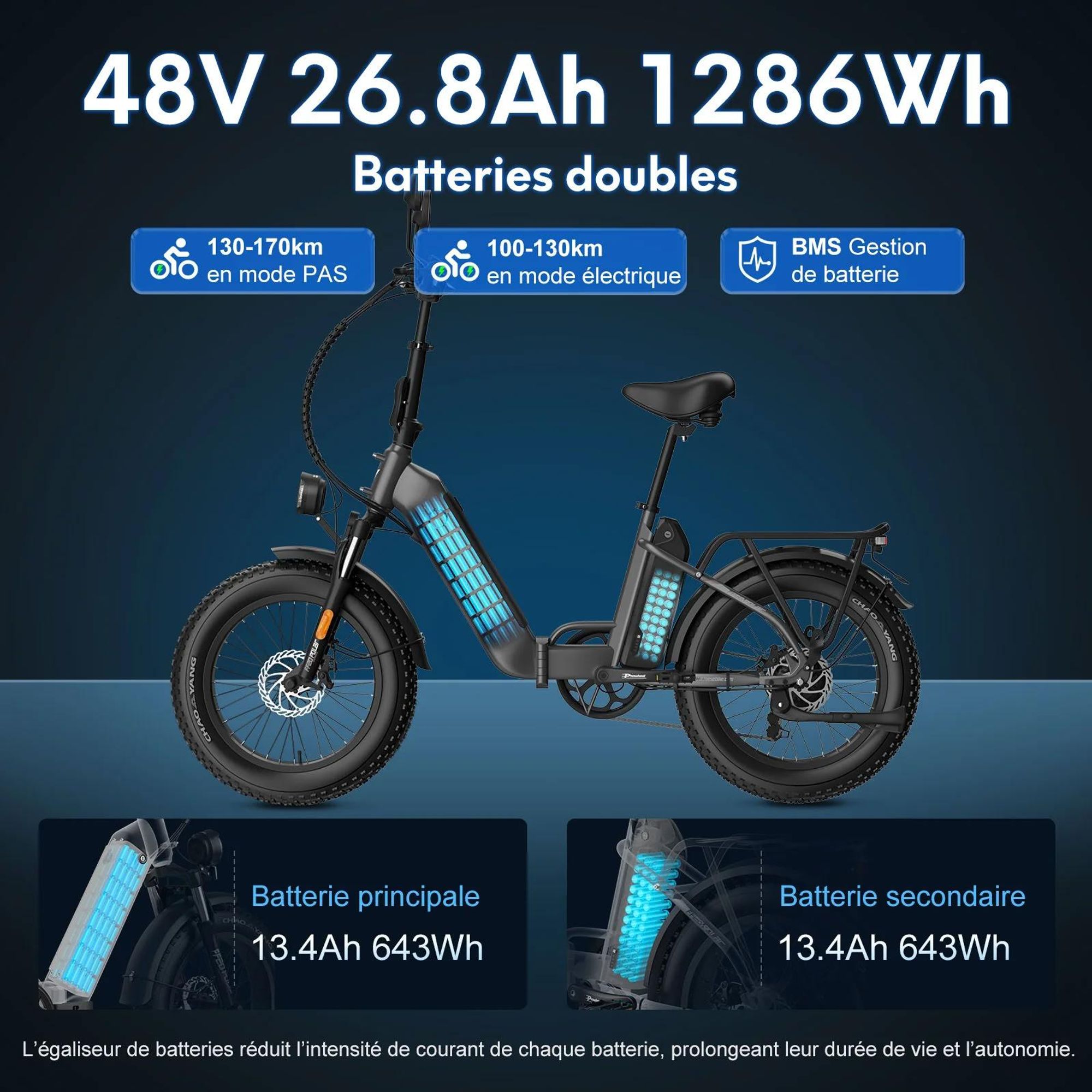 FAFREES FF20 Polar Vélo Électrique - Batterie 48V13.4AH*2 Pneus 20 Pouces - Gris bleu