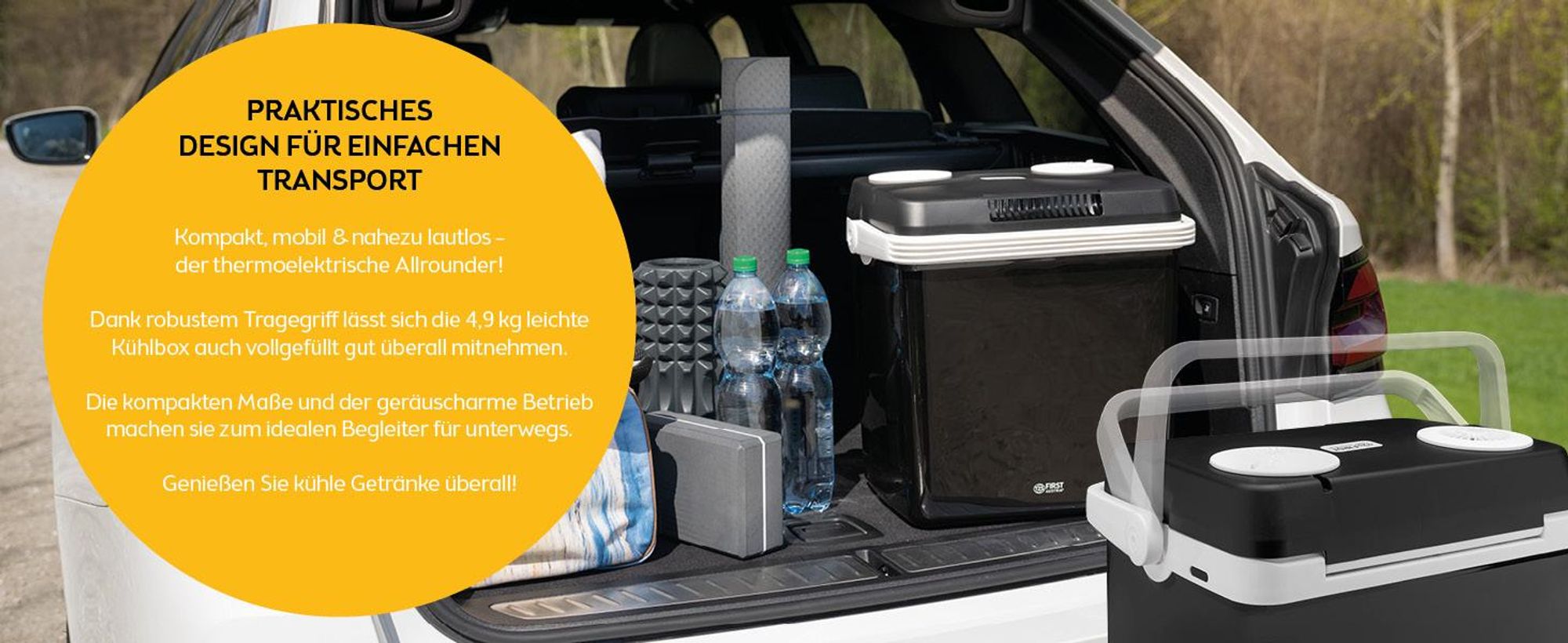 TZS First Austria - Kühlbox 32L elektrisch 12V 230V Anschluss für Auto & Steckdose - Thermoelektrisch - Schwarz