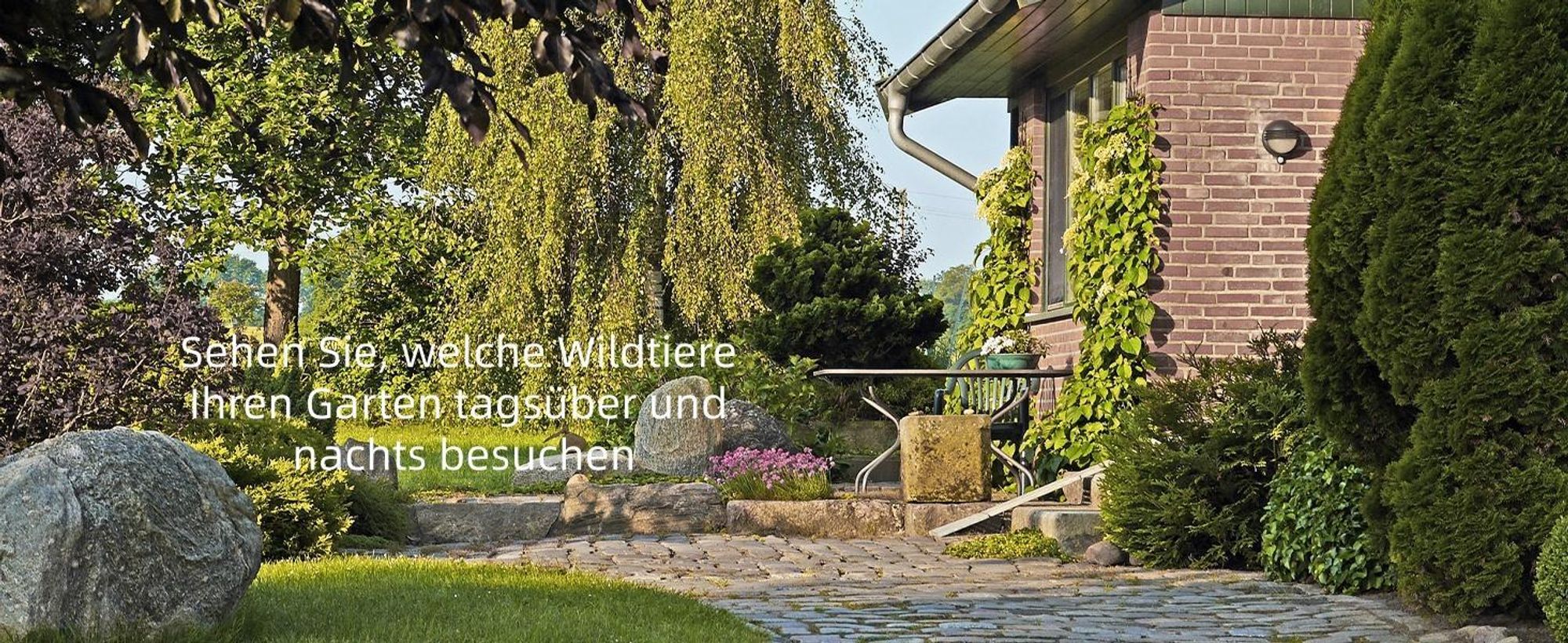 4K 48MP wildkamera mit Handyübertragung App Bewegungsmelder Nachtsicht,120° Erfassungswinkel Wildkamera mit 32GB Karte & 8 Batterien IP66 Wasserdicht