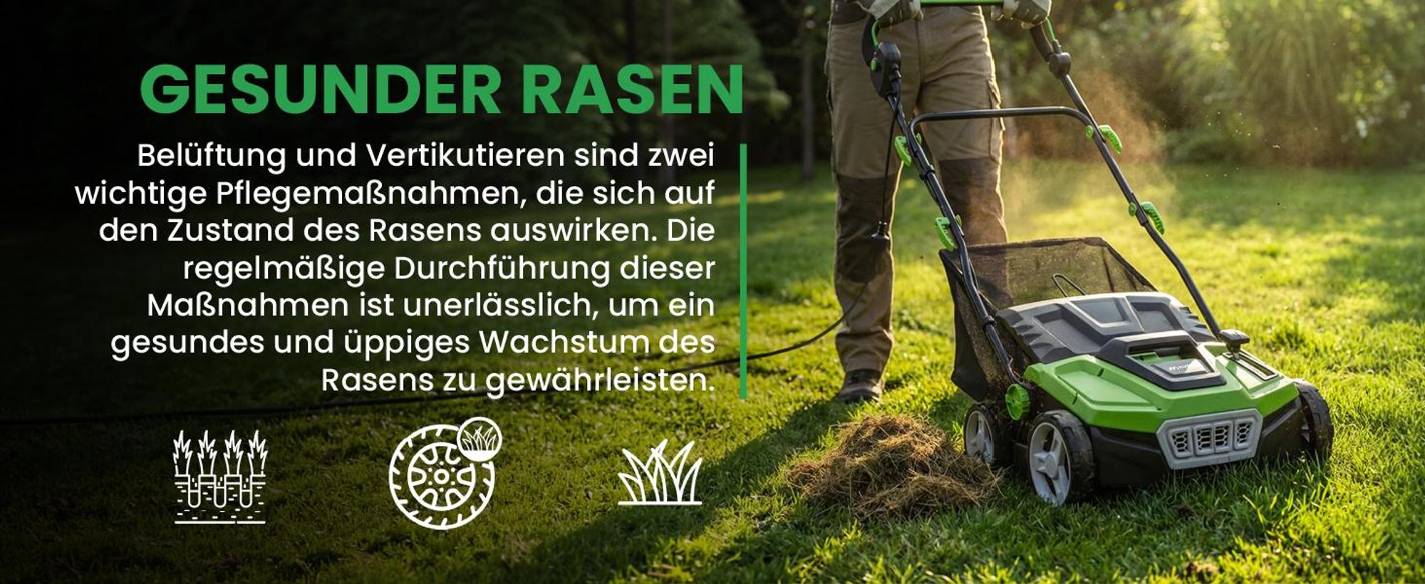 Grune Vertikutierer Rasenlüfter Elektro mit Arbeitsbreite 38cm Moosentferner