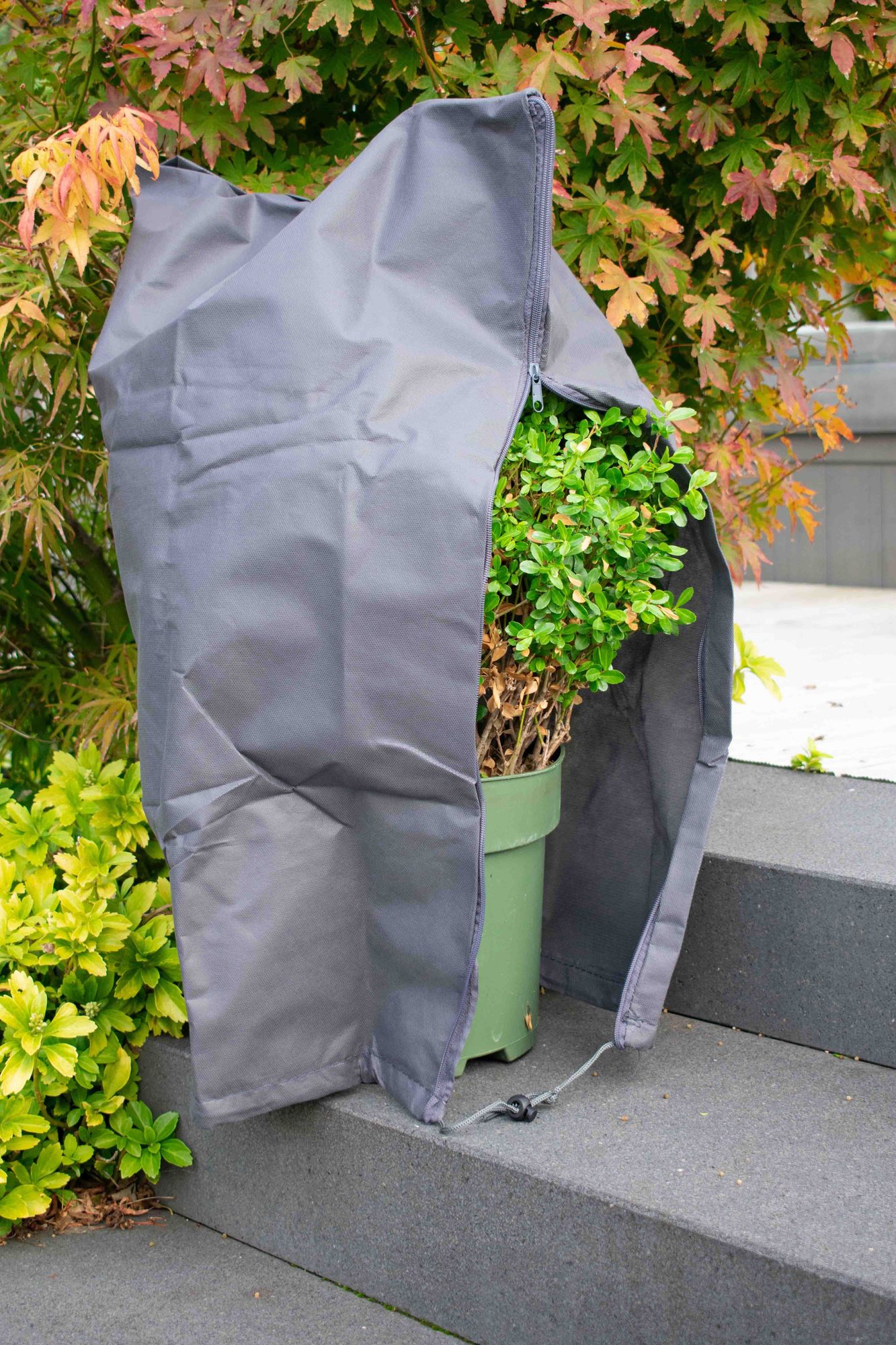 60 x 80 cm Premium XXL Winterschutz für Pflanzen grau Kübelpflanzen Winterschutzcover draußen Haube Reißverschluss Zugband Pflanzenschutzhaube