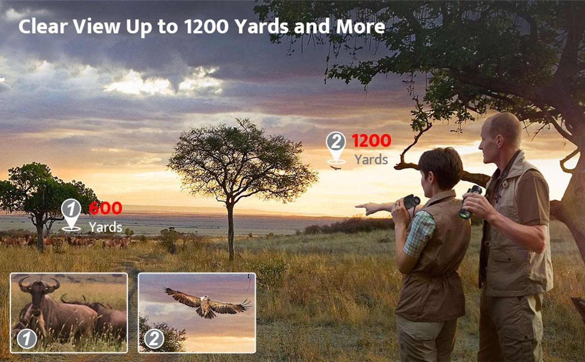 10x42 Monokular Teleskop Erwachsene,HD Monokular Fernrohr mit BAK4 Prisma und FMC Beschichtung, für Vogelbeobachtung, Jagd, Wandern