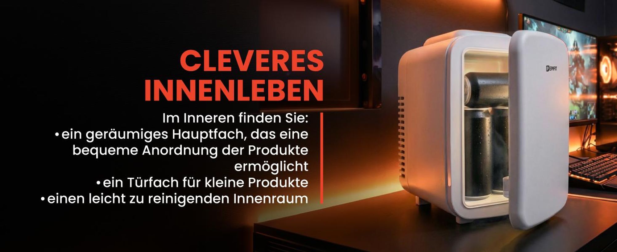 Kühlschrank kühlt heizt 4 Liter für Medikamente Getränke Kosmetik