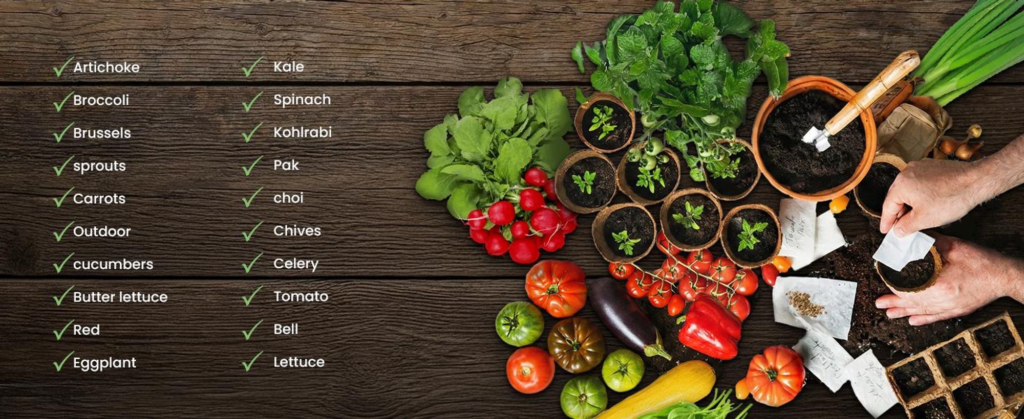 Green Harvest Groentezaden Set 20 soorten, 20 zakjes, zaden voor de tuin