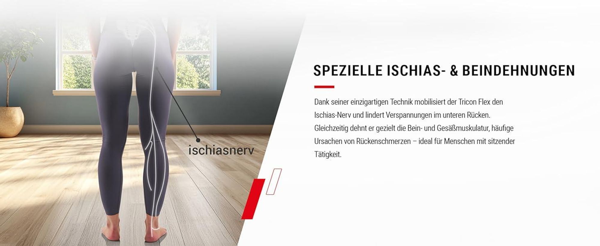 HAMMER Rückentrainer Tricon Flex, 3 in 1 Rücken-Komplett-Trainer