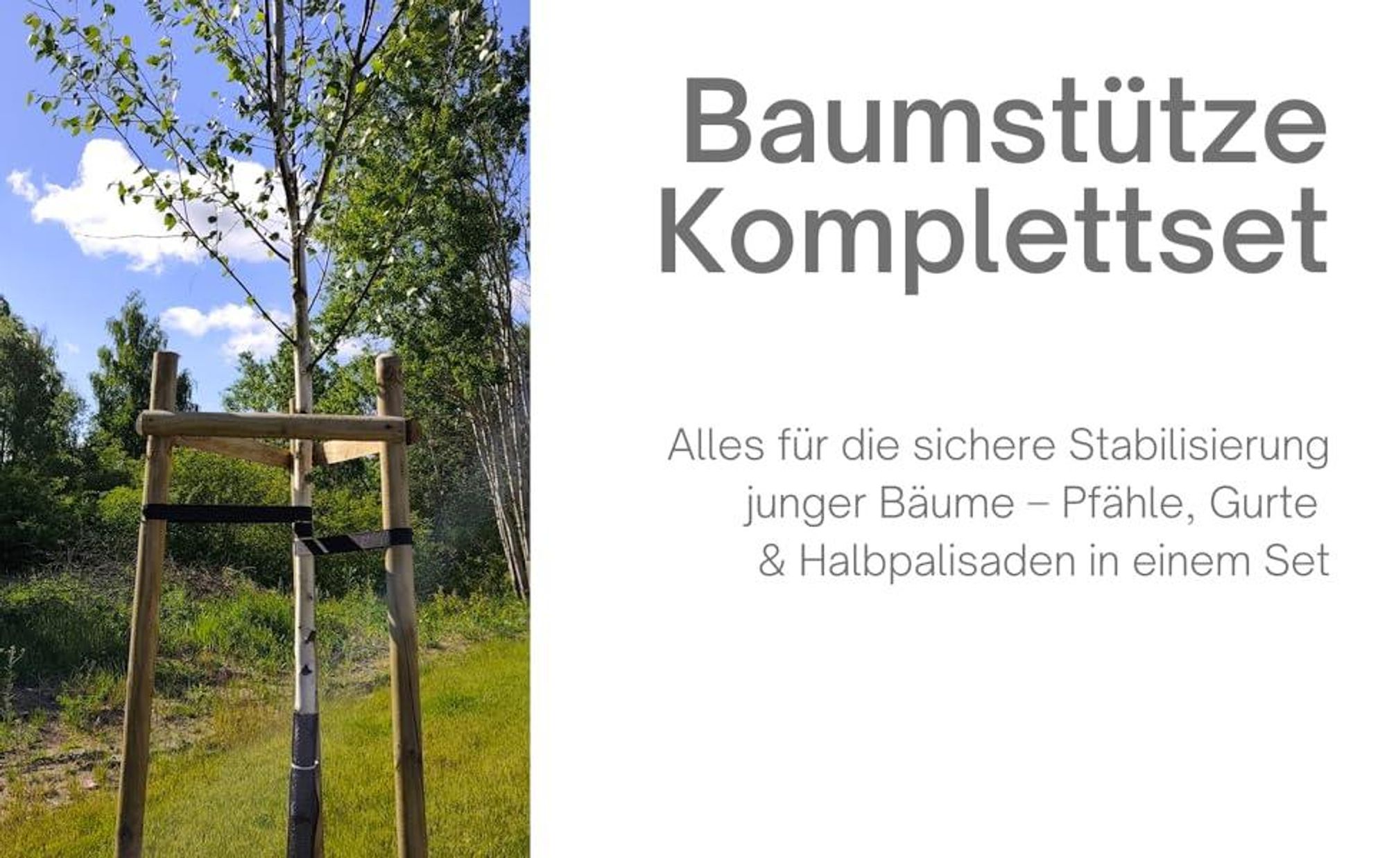 TIMBERMIK Baumstütze Komplettset Rankhilfe Baumpfahl ø 7cm Länge: 200 cm Pflanzenhalter 3 x Holzpfosten 3x Schwarze Baumgurte und 6x Halbpalisaden
