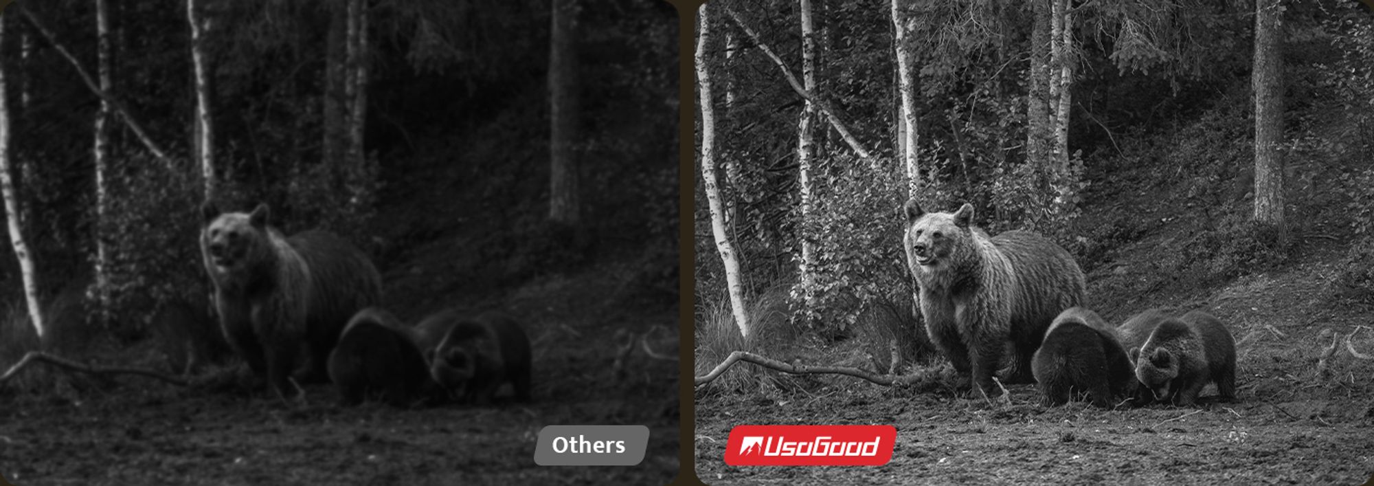 UsoGood 4G LTE Wildkamera Solar Akku Überwachungskamera mit SIM Karte und Speicherkarte