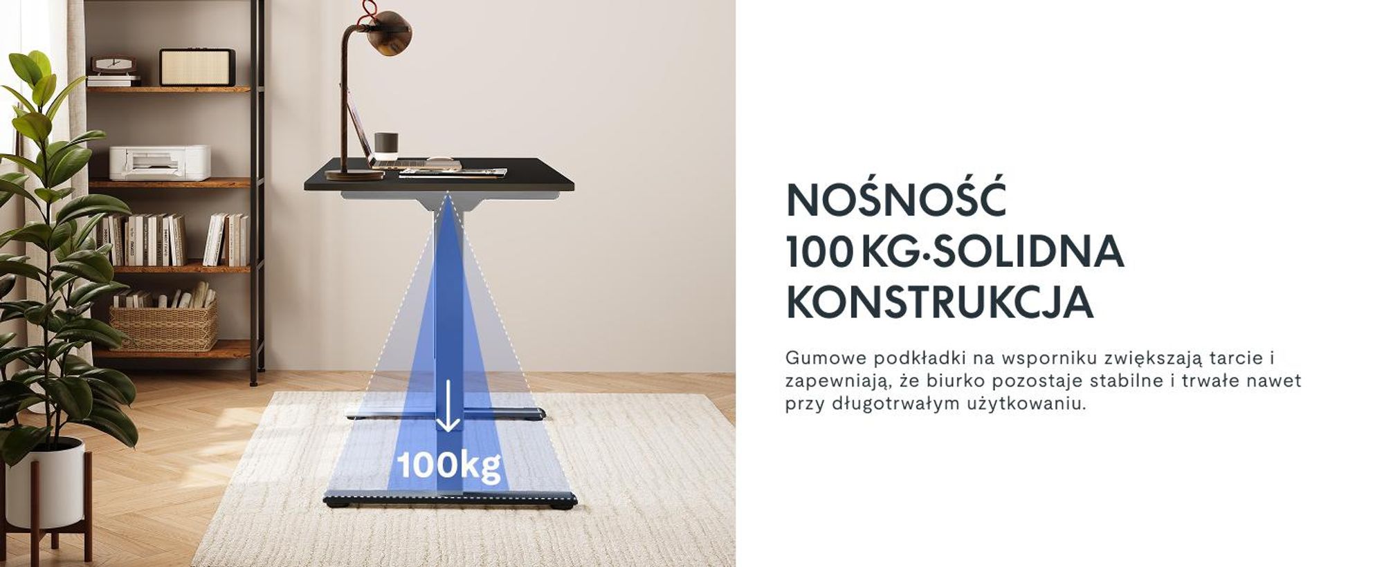 FlexiSpot E1 Pro Biurko z regulacją wysokości, podwójny silnik, udźwig 100 kg, 4 pamięci sterujące, zabezpieczenie antykolizyjne(szary)