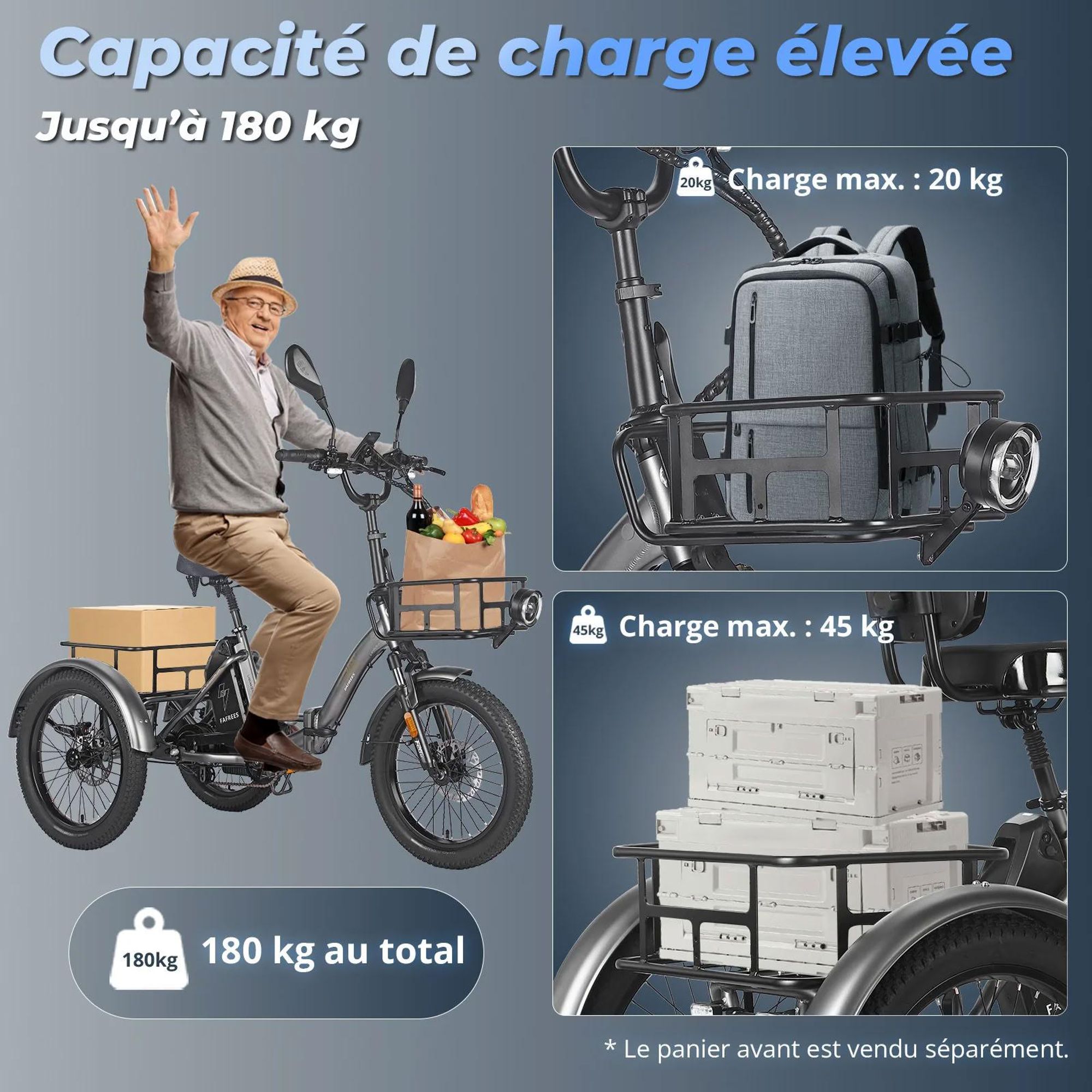 FAFREES F20 Mate Triporteur Électrique - Batterie 48V21AH Freins Hydrauliques - Gris bleu