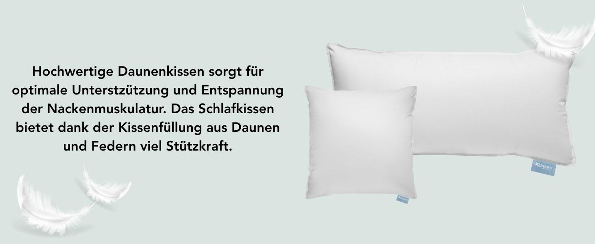 Premium Daunen Kopfkissen | 40 x 80 cm | XDREAM Daunenkissen