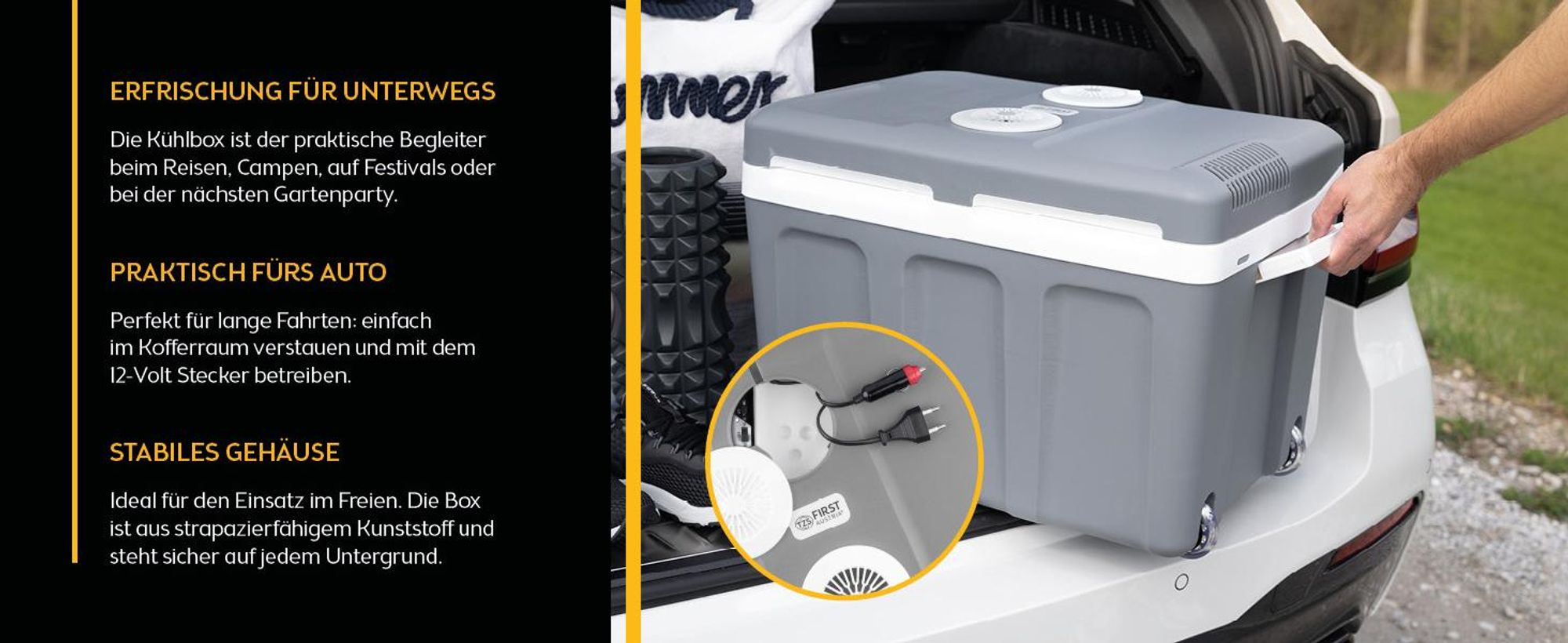 TZS First Austria - Kühlbox 45L elektrisch 12V 230V Anschluss für Auto & Steckdose - Thermoelektrisch - Grau