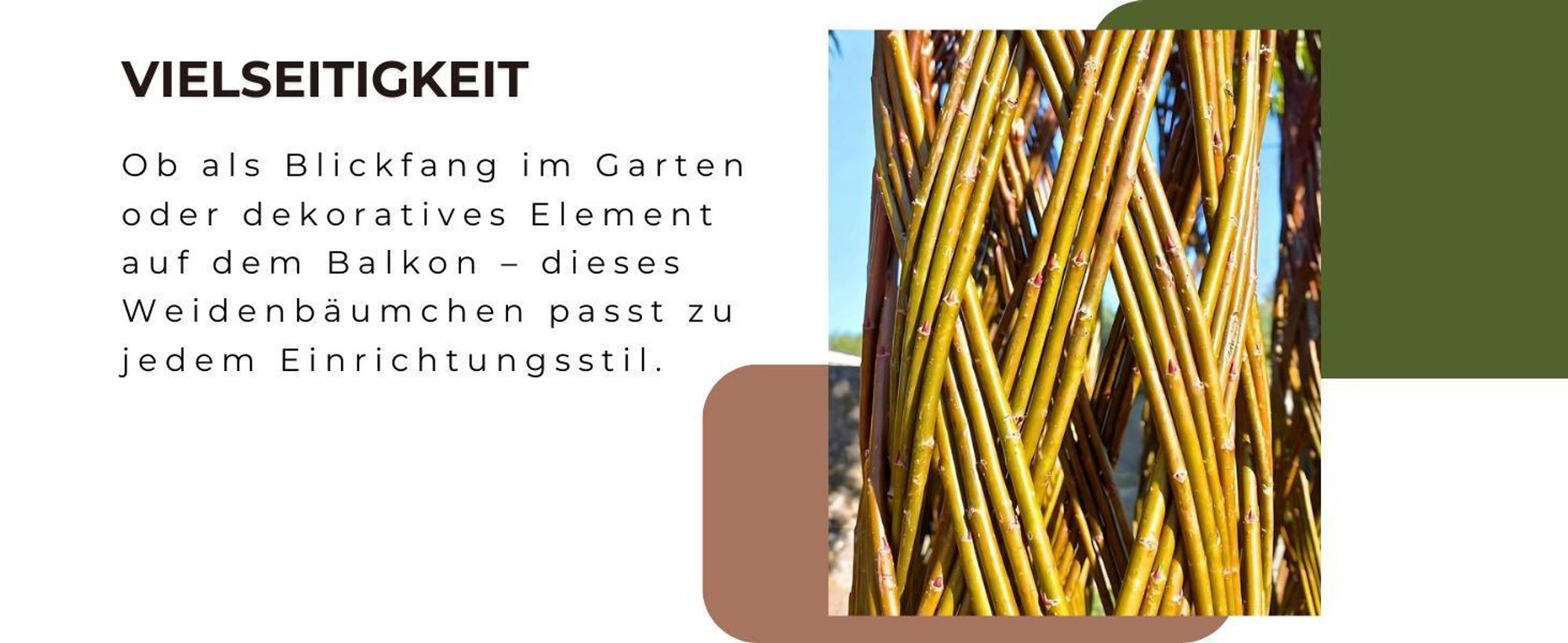 Geflochtener Weidenbaum 180 cm Geflochtene Weide - Dekoration für Terrasse und Garten Junge Weidentriebe