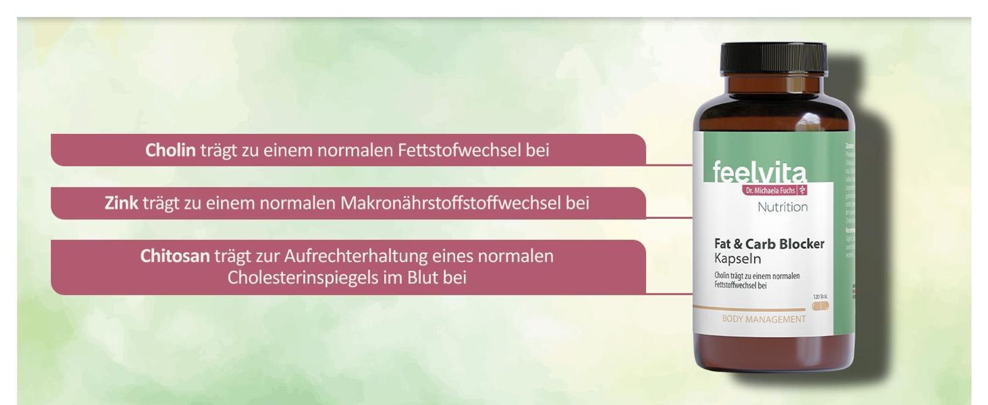 Genius Feelvita Nutrition Fat & Carb Blocker Kapseln 4-Monatsvorrat (240 Kapseln)
