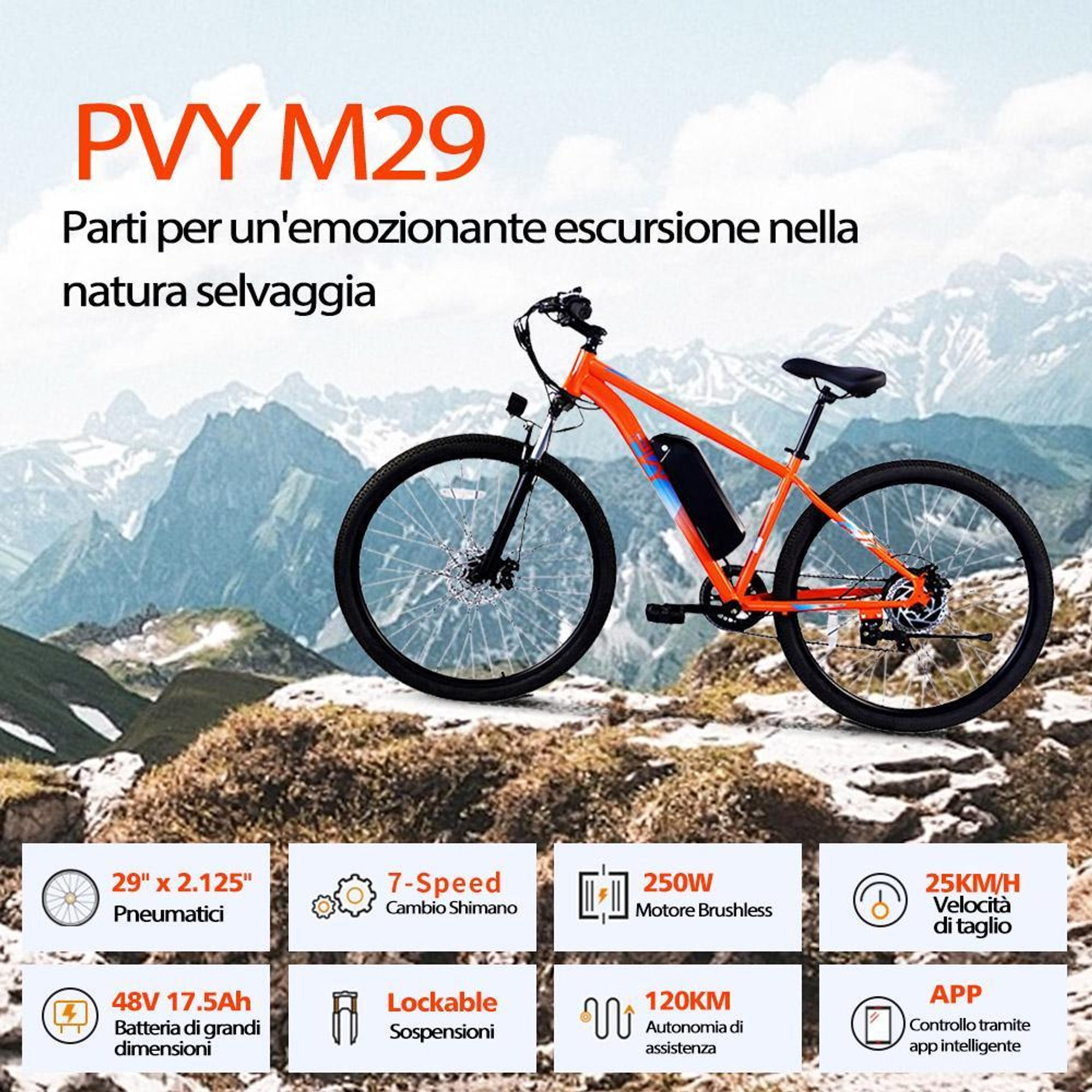 PVY M29 Bicicletta Elettrica - Motore 250W Batteria 48V17.5Ah Ruote da 29 Pollici Freno a Disco Meccanico - Grigio