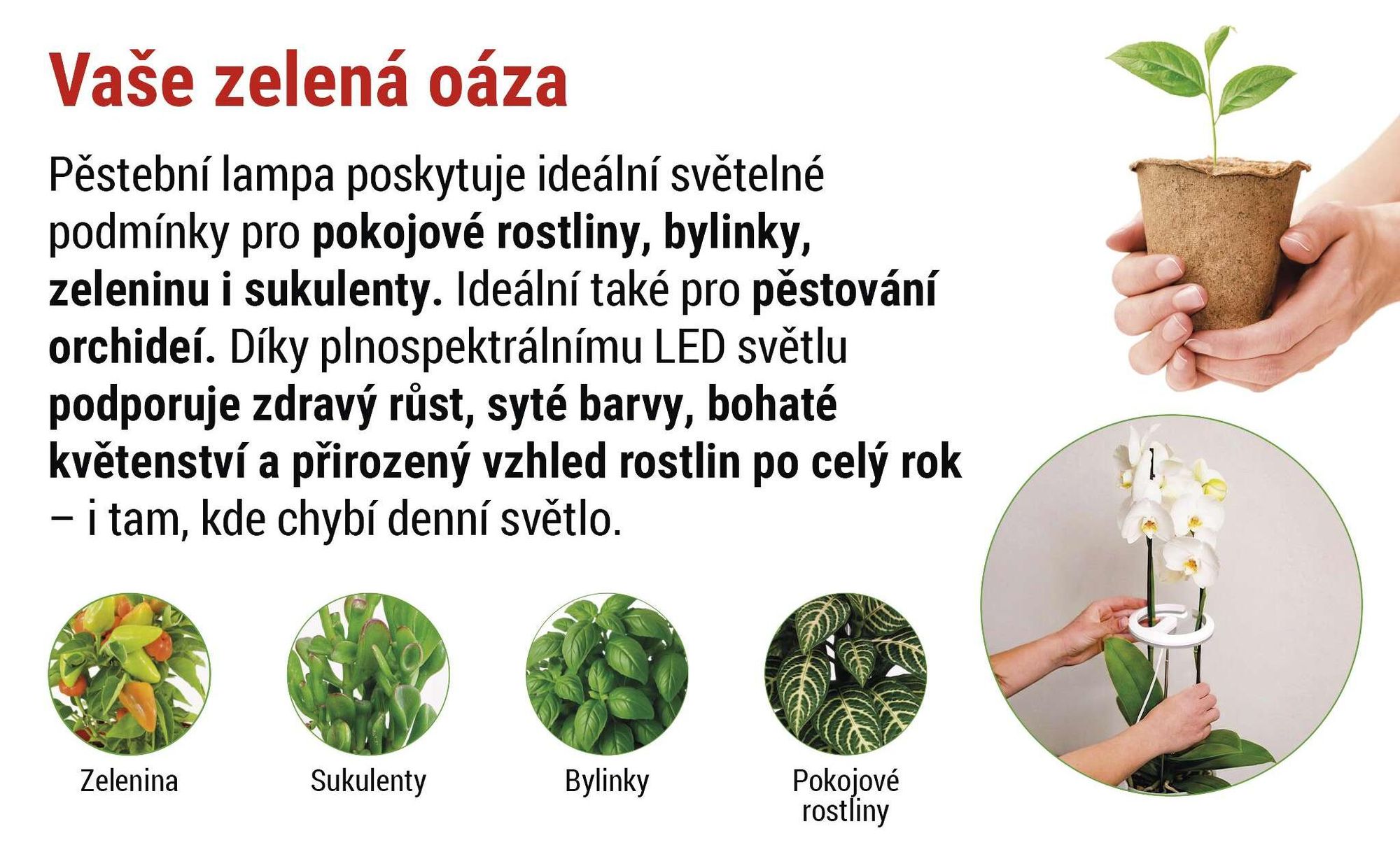 EMOS LED pěstební lampa pro pokojové rostliny a sukulenty, kulatá lampa pro orchideje s časovačem, výškově nastavitelná, 300lm, 1,7m USB kabel, Z7902