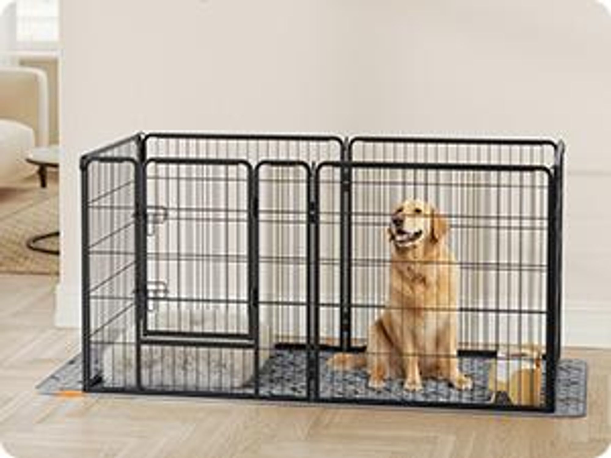 Feandrea Wasserdichte Hundedecke,Autoschondecke für Haustiere, Sofaschutz