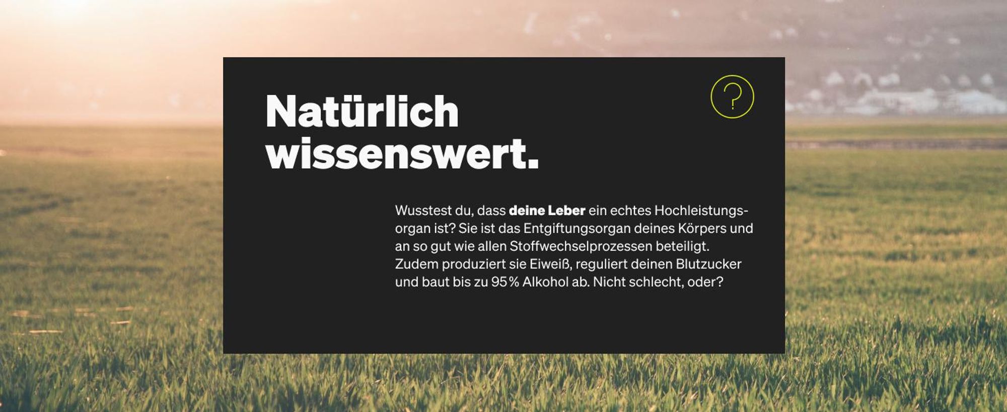 Mariendistel mit Artischocke & Löwenzahn Kapseln - 120 Kapseln_für 4 Monate