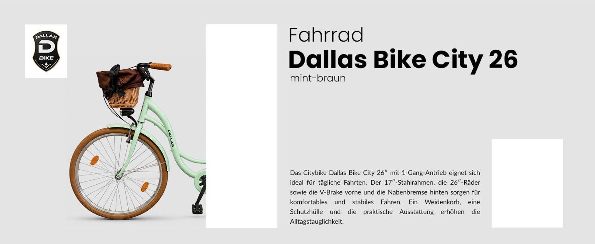 Dallas Bike Fahrrad