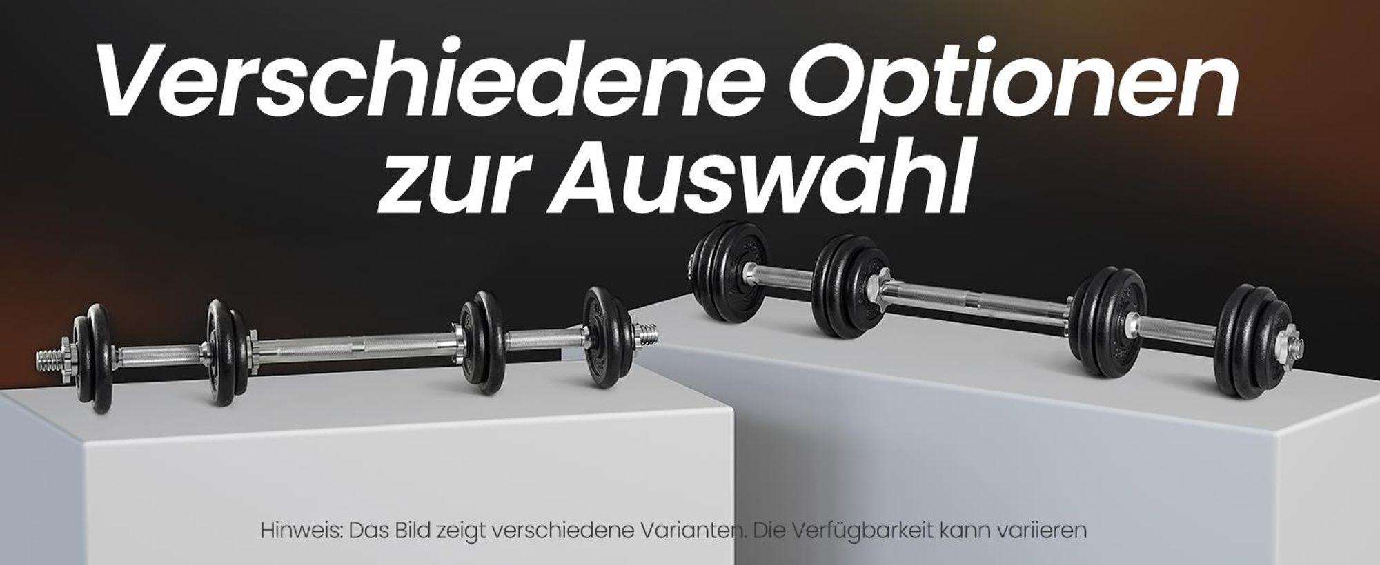 SONGMICS 2-in-1-Hanteln, 2 x 10 kg Hantelset aus Gusseisen, verstellbar, Kurzhantelset mit Verbindungsrohr, Workout, Gewichtheben für Zuhause, Fitness