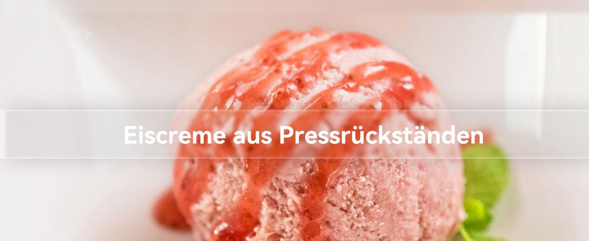 CelerySpec SJ-048-EU-SS Entsafter - Für Ganze Gemüse und Obst 250W Leistung 1.8L Kapazität Saftpresse lebensmittelechtes Material Edelstahl 130 mm Einfüllöffnung Rücklauffunktion - Silber