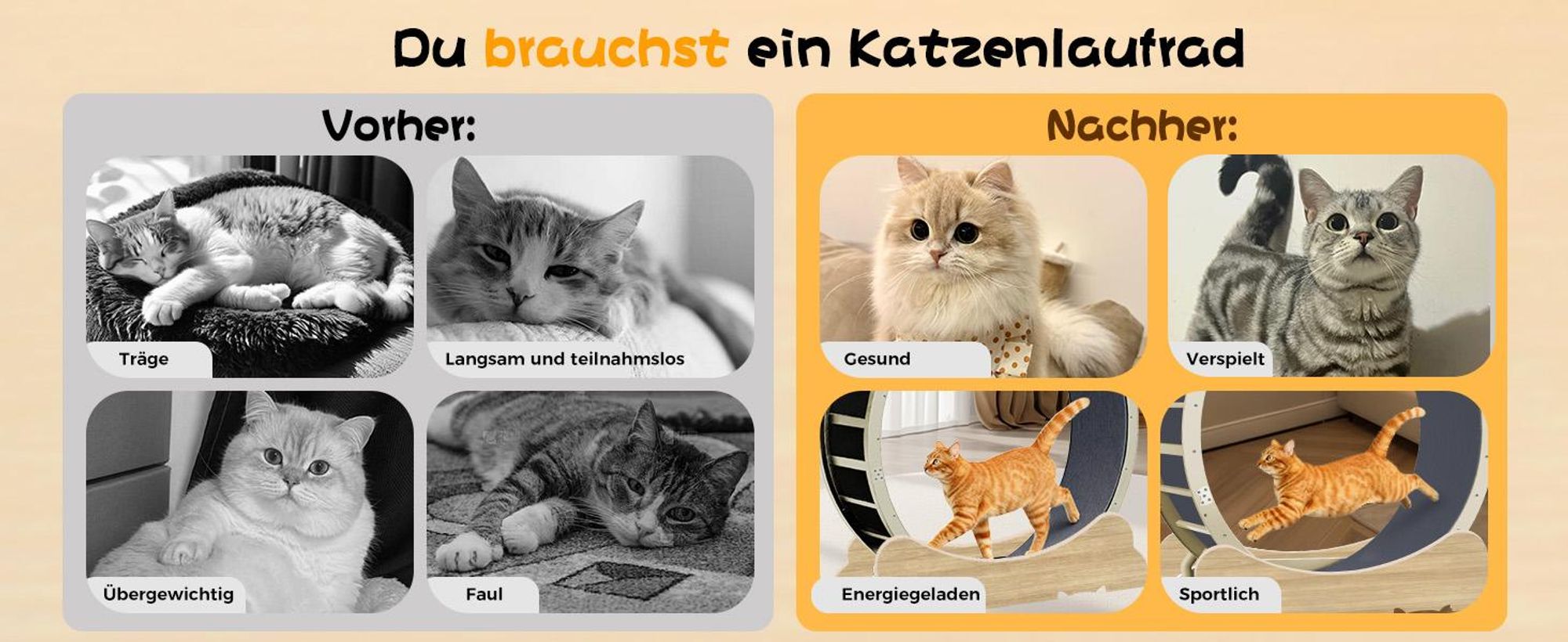 GTPLAYER Katzenlaufrad, laufrad Katze, Extra großer 100 cm, ultraleises Laufrad mit Abnehmbarer Teppich und Spielzeug, Aufkleber, Verriegelung, geeign