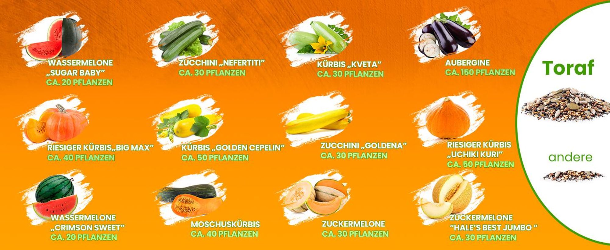 Toraf Gemüsesamen Set XXL, 500 Samen, 12 Sorten, für Garten & Balkon