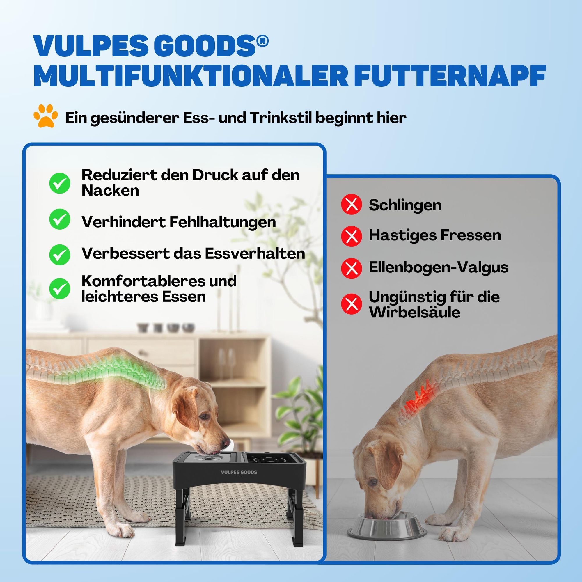 Hundenapf erhöht mit 4 einstellbare Stufen | rutschfest & stabil Antischlingnapf Hunde | abnehmbar und faltbar - Futterstation Hund