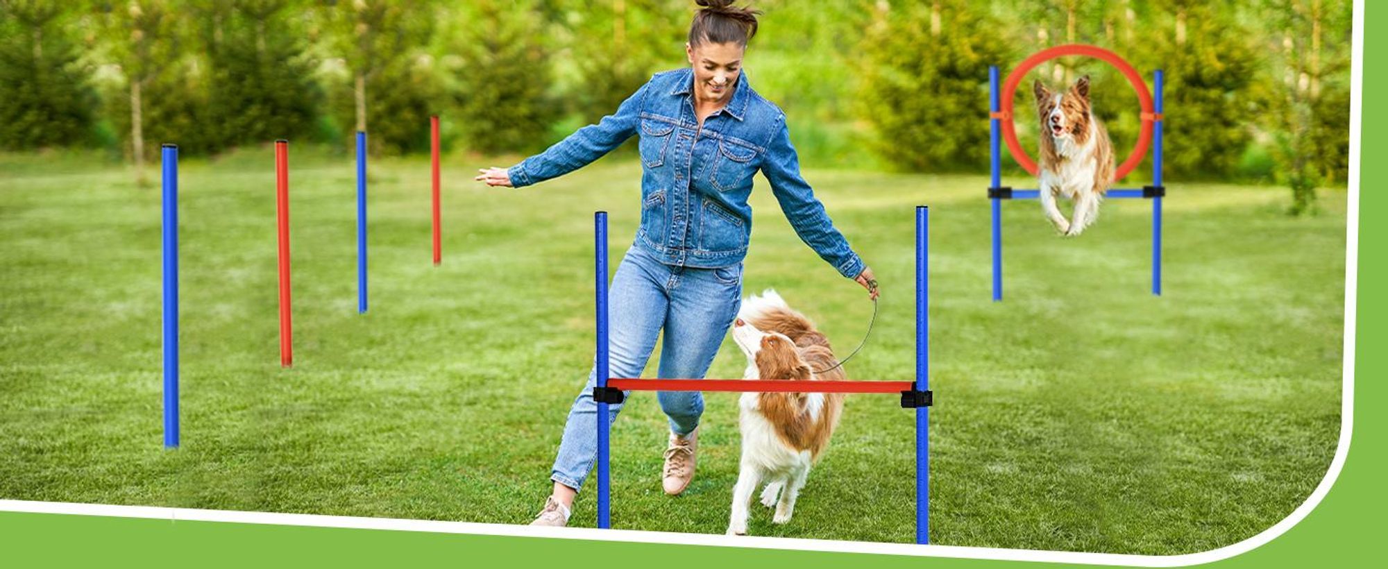 PawHut Dog Agility Training Equipment, zestaw do ćwiczeń agility, zestaw do agility dla psów, slalom z przeszkodami dla psów, 3 w 1, strefa treningowa dla psów, niebiesko-czerwona
