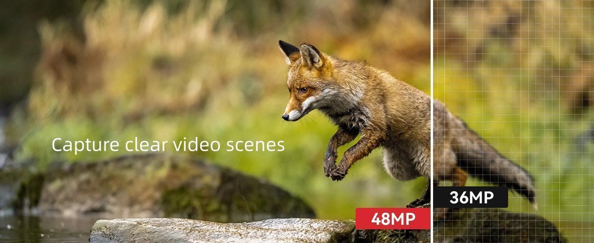 4K Wildkamera mit Handyübertragung App Wildkamera Wlan mit Bewegungsmelder Nachtsicht Wasserdicht 0,5S Auslösen Inklu 32GB SD-Karte 8 AA-Batterien