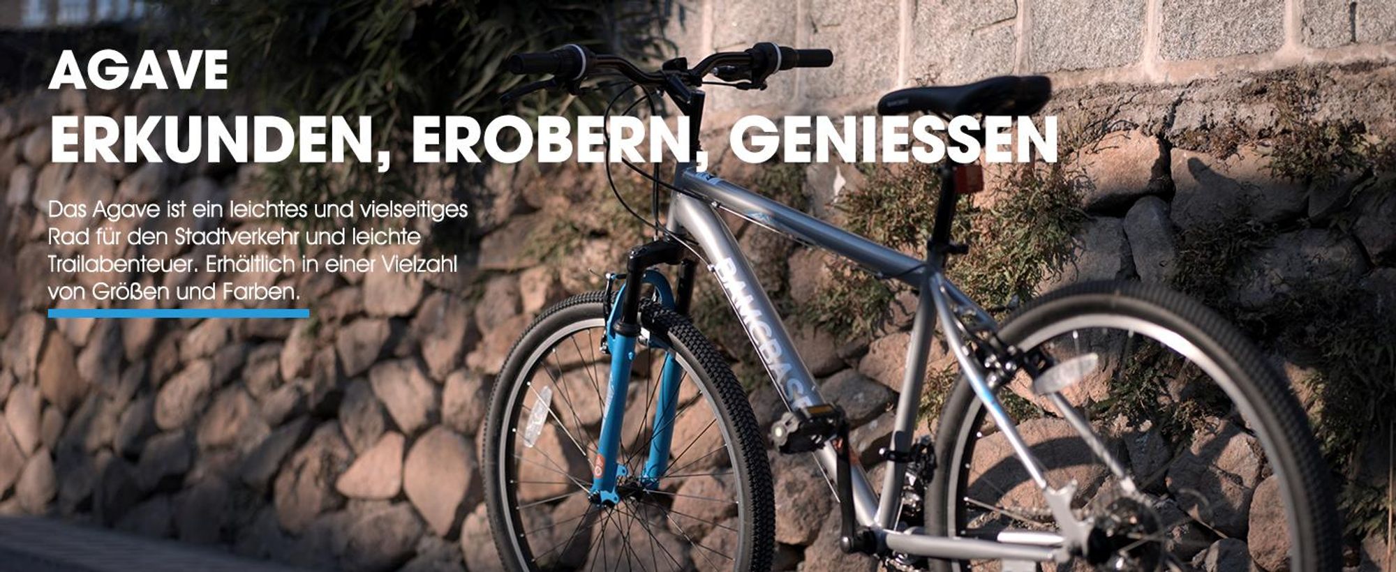 HILAND Mountainbike 29 Zoll MTB Herren Damen, mit 21, V-Bremse, Hardtail Fahrrad, Fahrräder für studentische Pendler, Blau