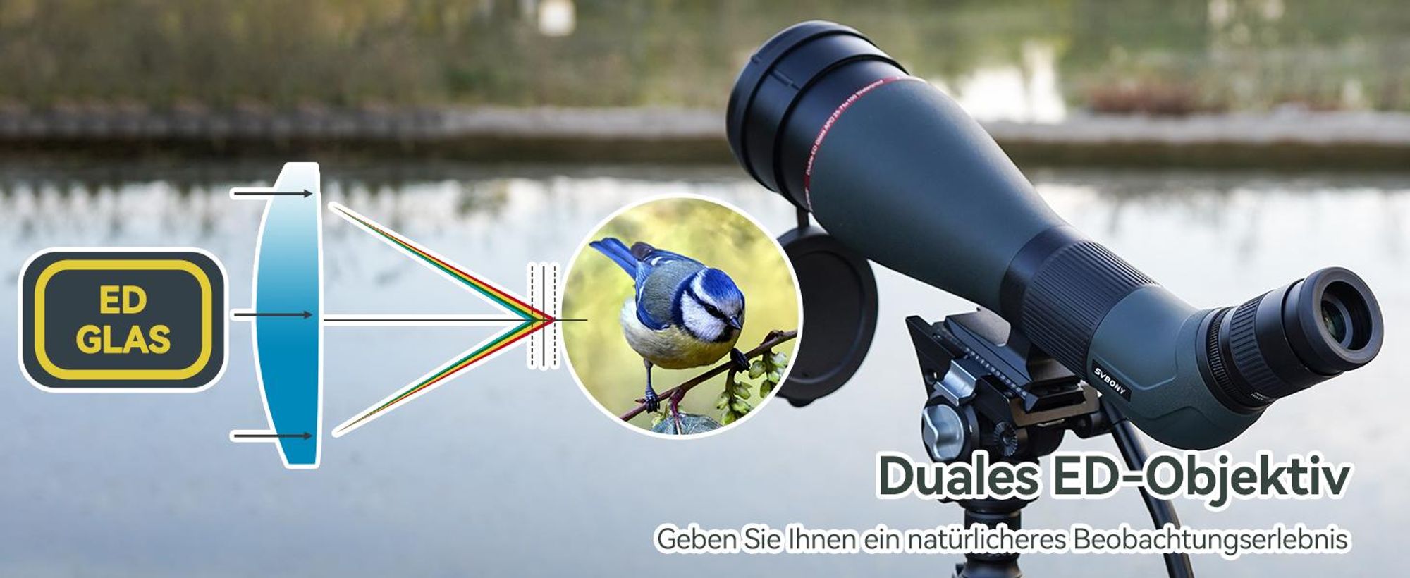 Svbony SA401 APO Spektiv 25-75x100mm, Doppel-ED-Glas, Präziser Fokus, Wasserdichtes Abgewinkeltes Spektrive für die Vogelbeobachtung