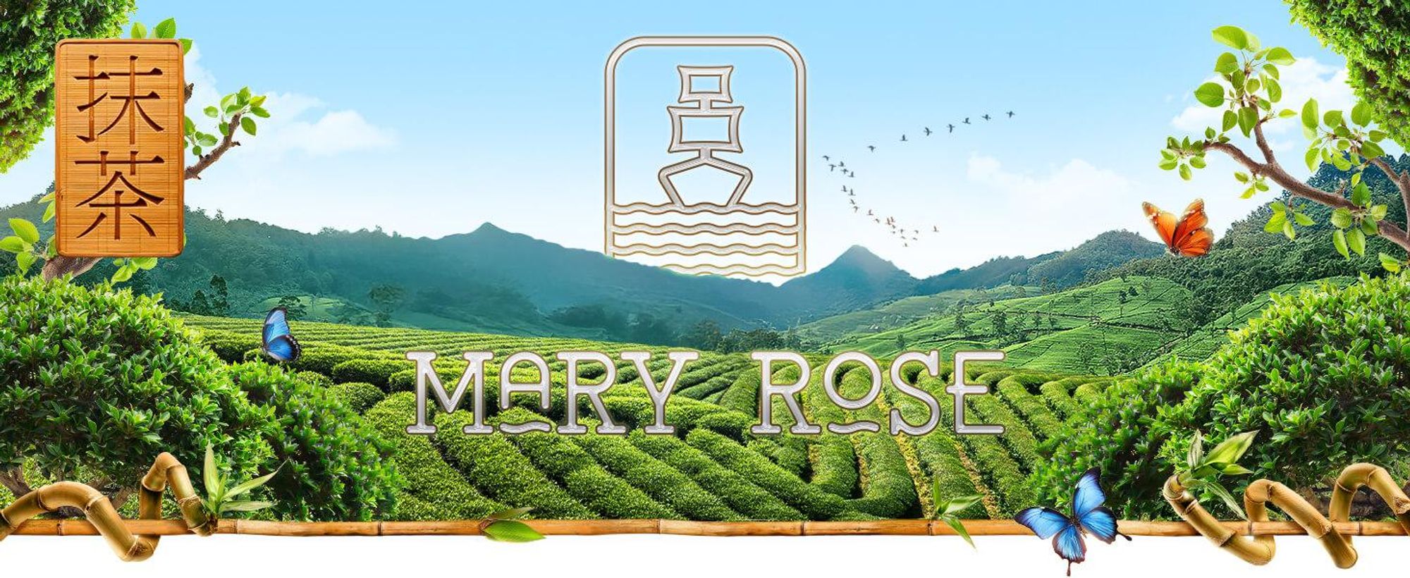 Mary Rose - Matcha Tee Ceremonial Tenno Bio Japan 30g - Hochwertiges Grüner Tee Pulver aus Miyazaki - Mild, Umami - Erste Ernte - Ohne Bitterkeit