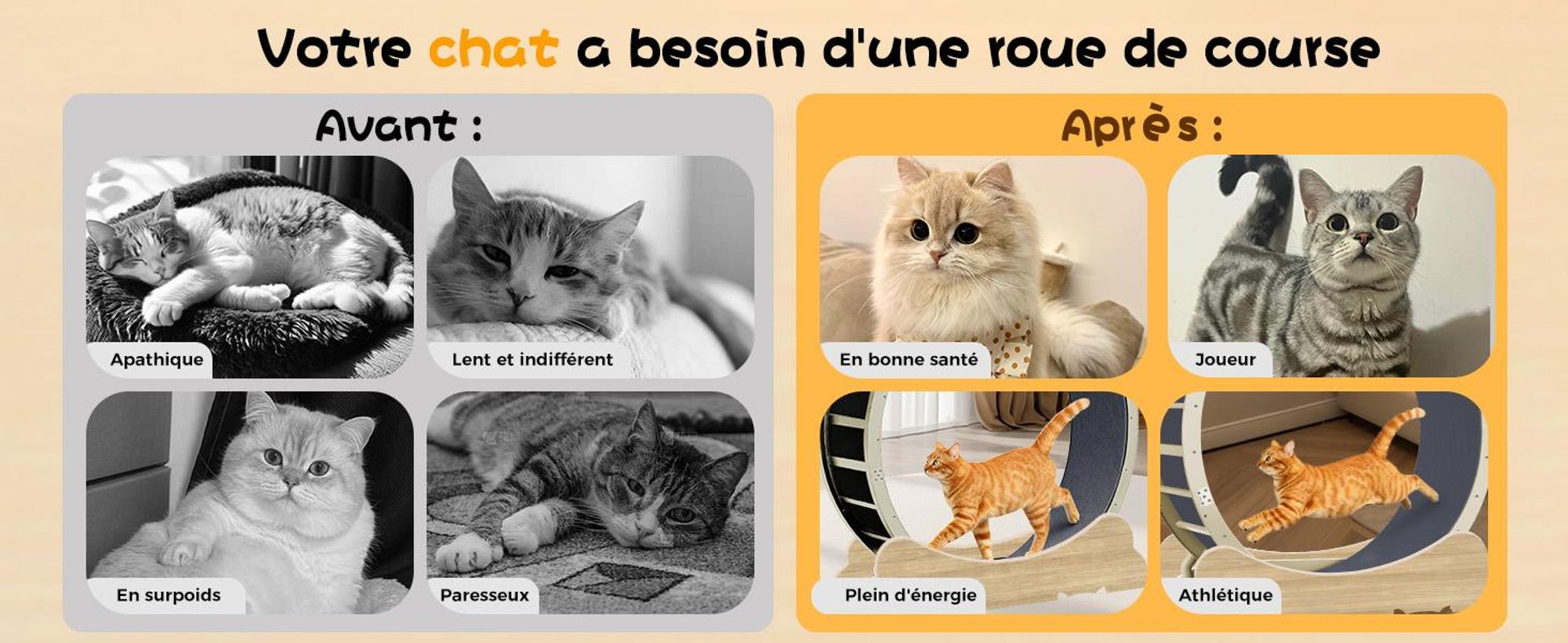 GTPLAYER Roue d'exercice pour chats, roue d'exercice pour chats, extra grande 100 cm, roue d'exercice ultra silencieuse avec tapis et jouets amovibles, autocollants, verrouillage, geeign
