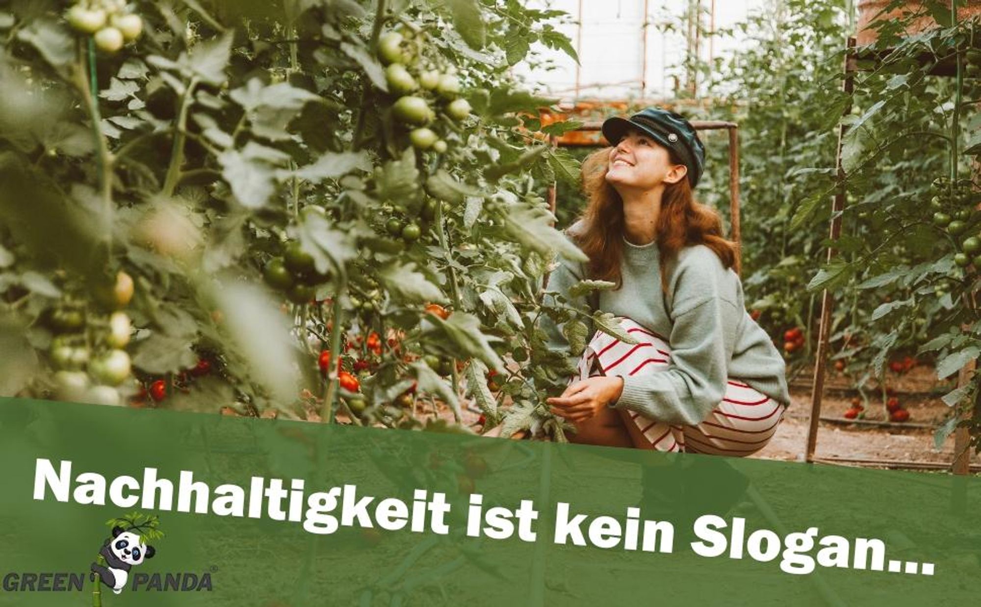 GreenPanda  Calciumdünger für Tomaten - Tomatendünger - Verbessert Ernte & Geschmack! - 1 Liter  Tomatendünger