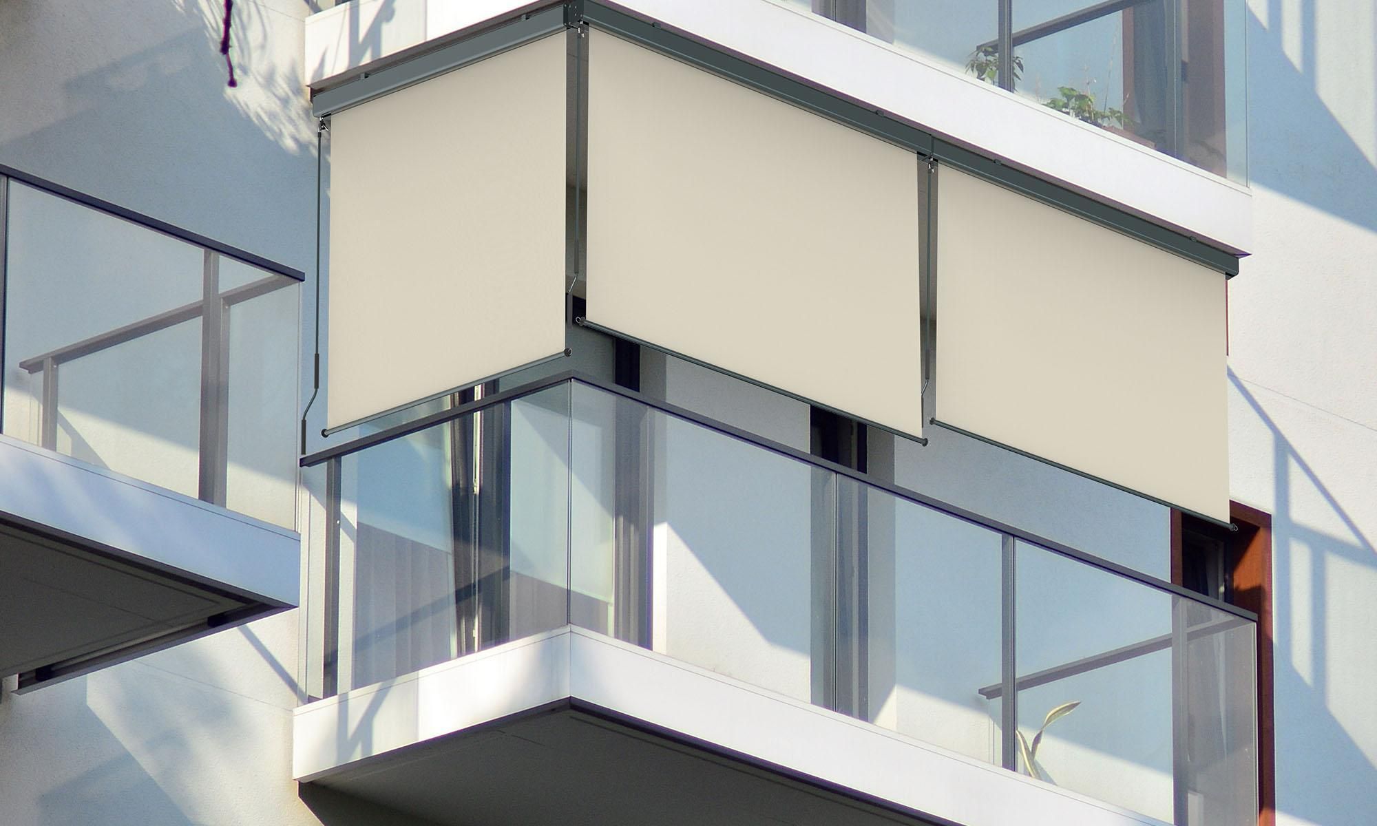 Senkrechtmarkise Balkon 160x250cm Markise mit Kassette Sichtschutz Outdoor Anthrazit Beige paramondo Senkrechtmarkise 2000