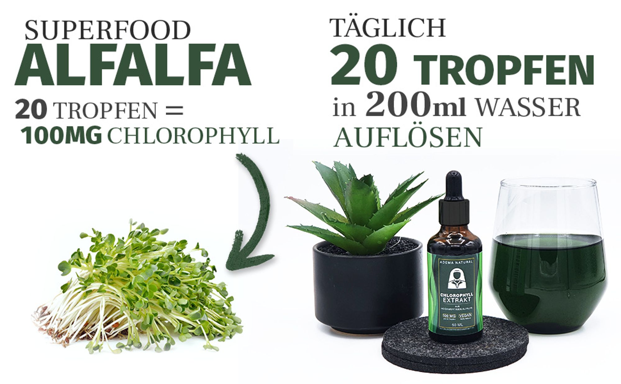 Adema Natural® Chlorophyll Tropfen – Stärken des Immunsystems – Erhöhung der Energie und Vitalität – Unterstützung der Verdauung – vegan – natürlich