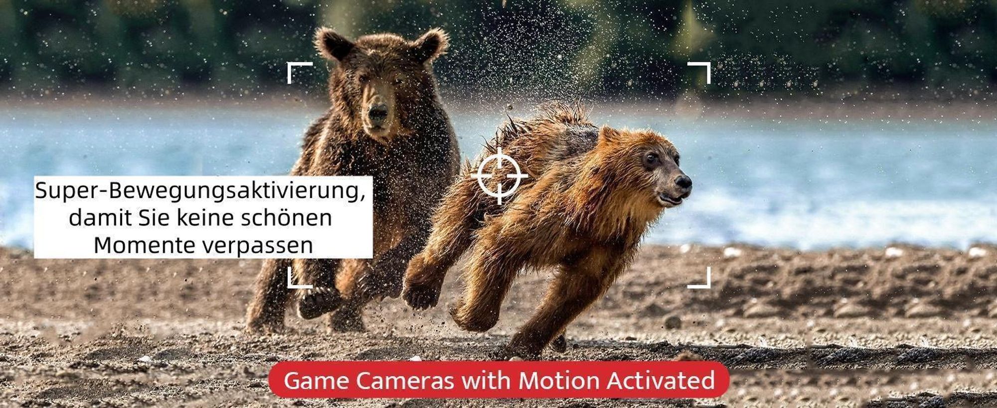 2Stk Wildkamera 4K 36MP Abzugsentfernung Bis 20m mit Bewegungsmelder Nachtsicht