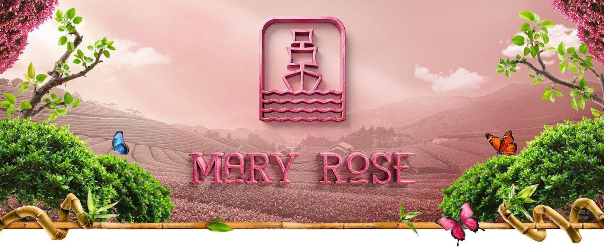 Mary Rose - Pink Matcha Tee Drachenfrucht Pulver 100g - Gefriergetrocknete Pitaya - Superfood für Latte - Lebensmittelfarbstoff - Reich an Vitamin C