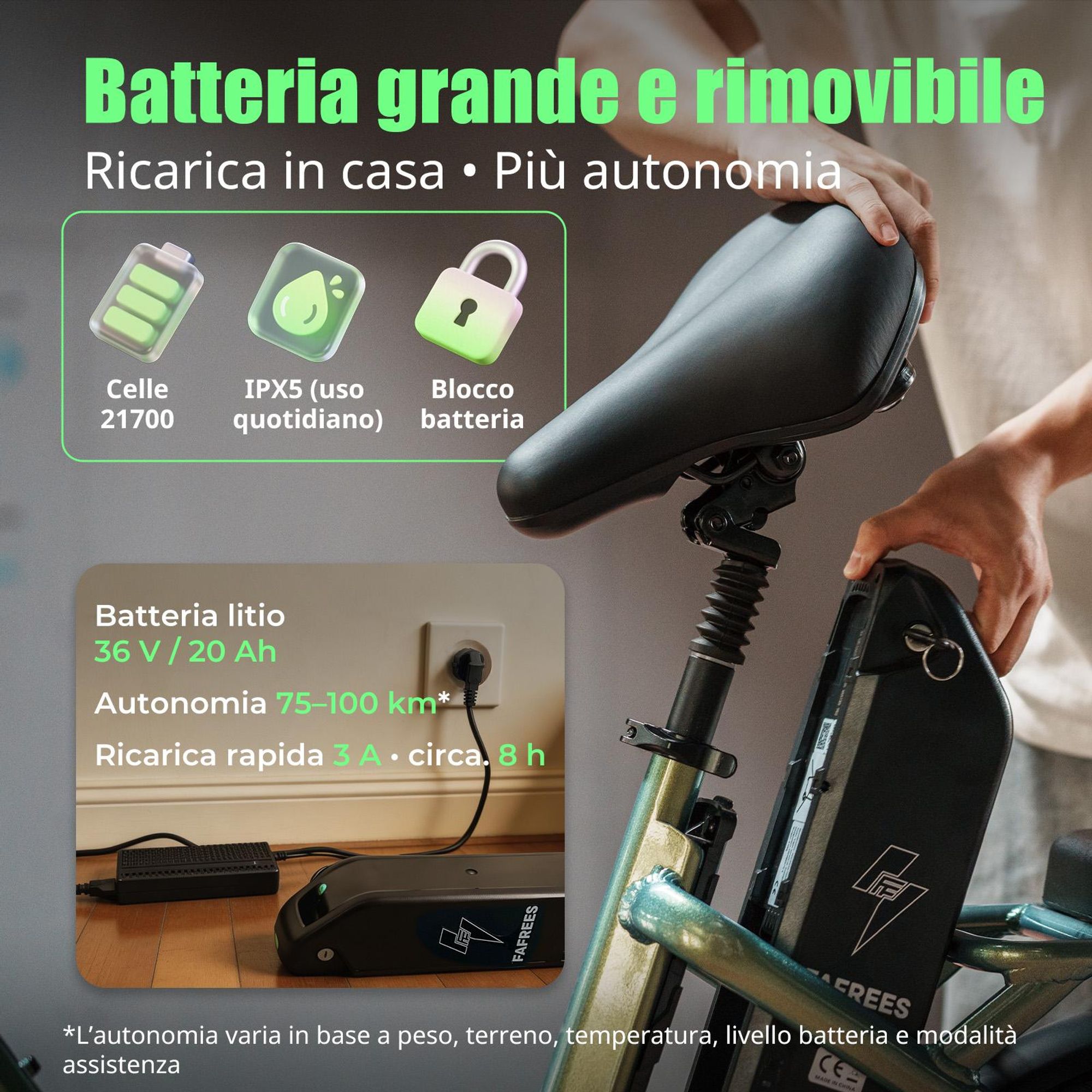 Bicicletta elettrica FAFREES F20 Flex - Motore da 250 W, batteria da 36 V 20 Ah, autonomia 75-100 km, freni a disco meccanici - Grigio canna di fucile