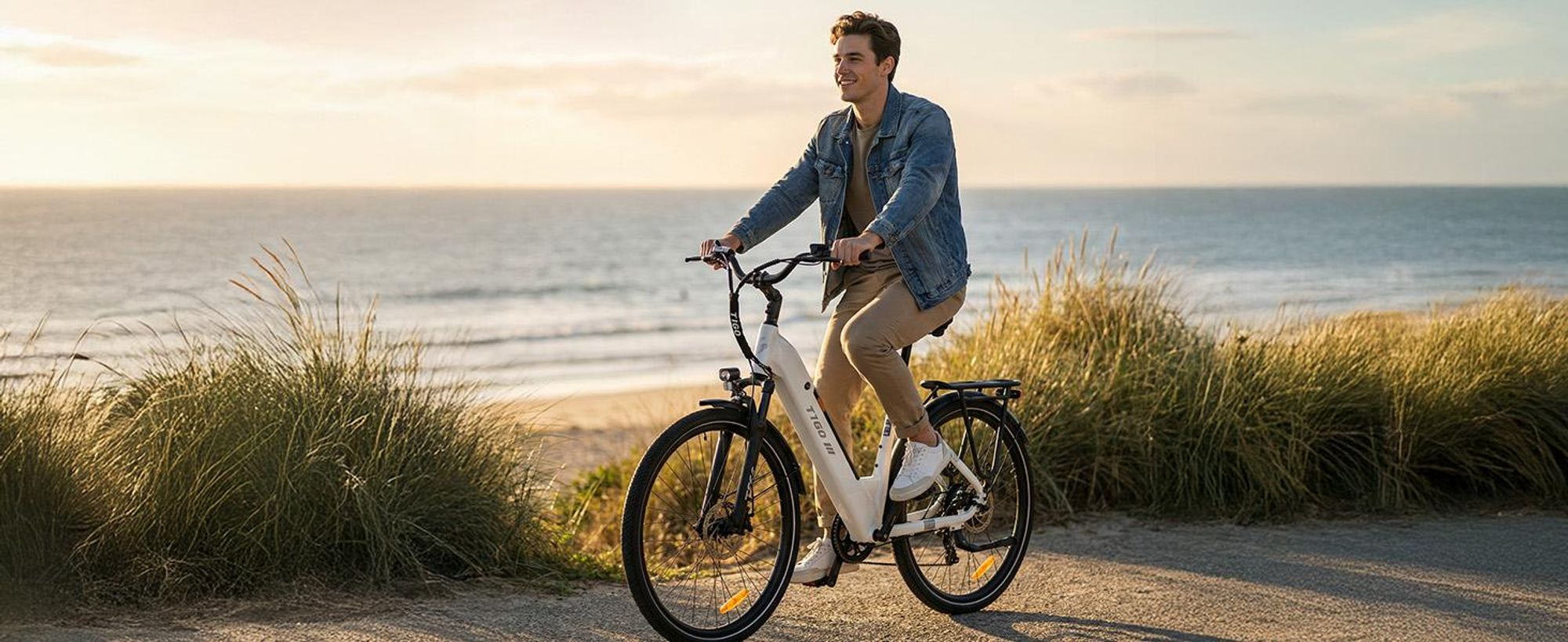 ttgo C3 SE 28 Zoll E-Bike für Erwachsene, Elektrofahrrad 250W Motor 36V 18Ah Akku, 80–120 km Reichweite, 25 km/h City ebike E-Hollandräder