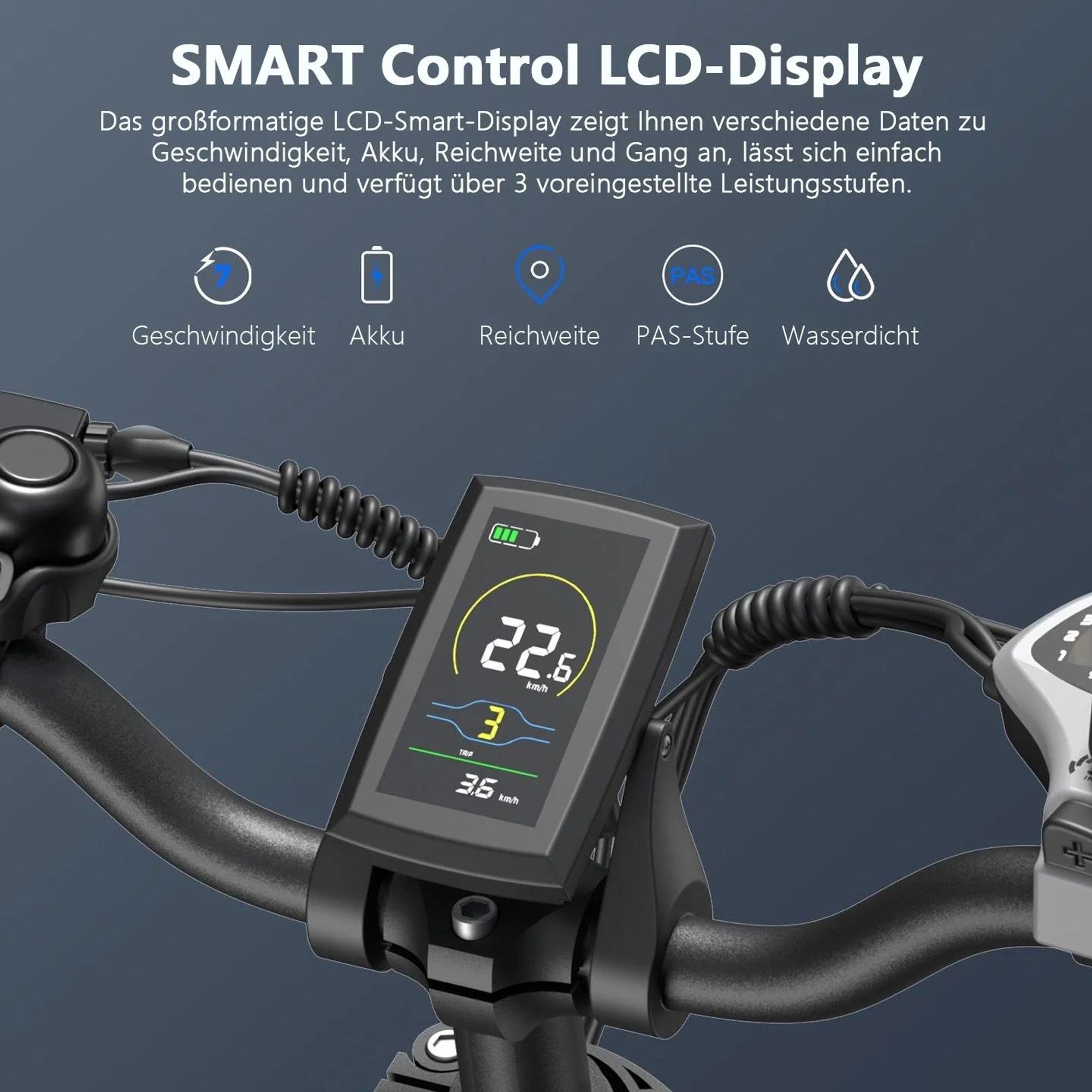 Electric Bike FAFREES F20 Max - Batterie 48V30AH 20" Reifen Mechanische Scheibenbremse - Schwarz