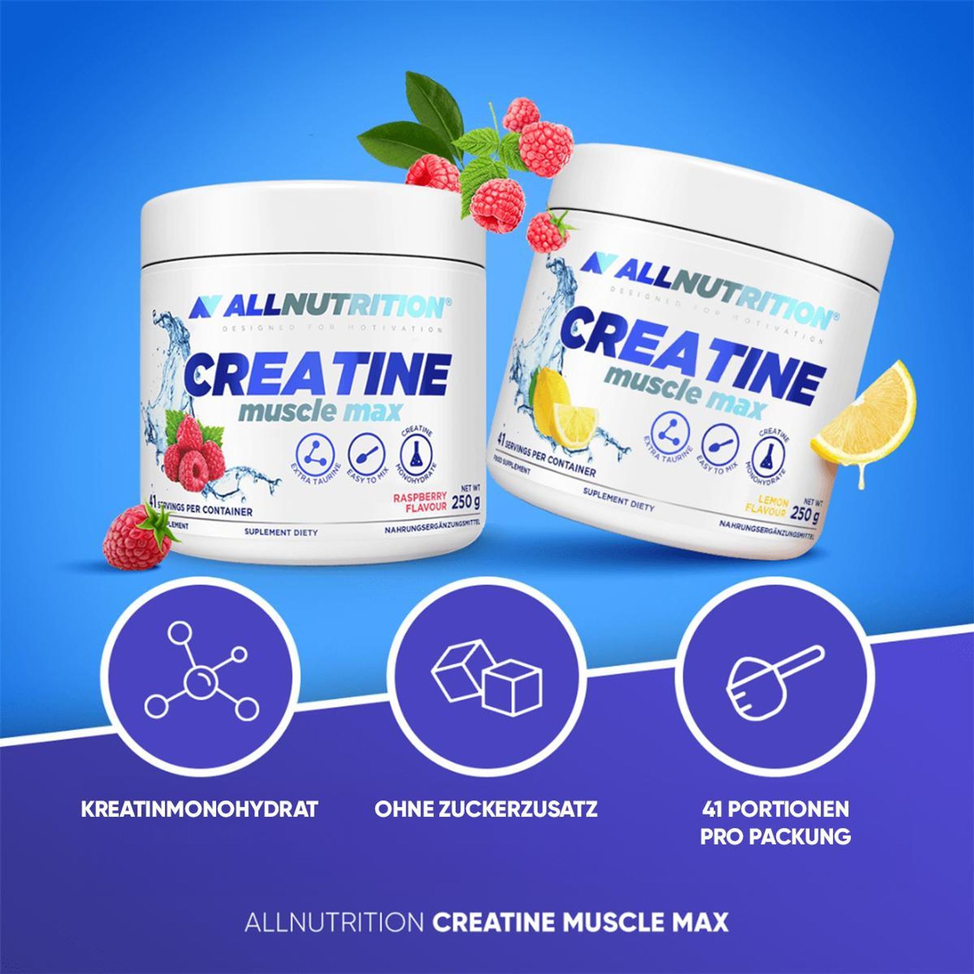 ALLNUTRITION Creatine Muscle Max 250g Himbeere Kreatinmonohydrat Kreatin Muskeln