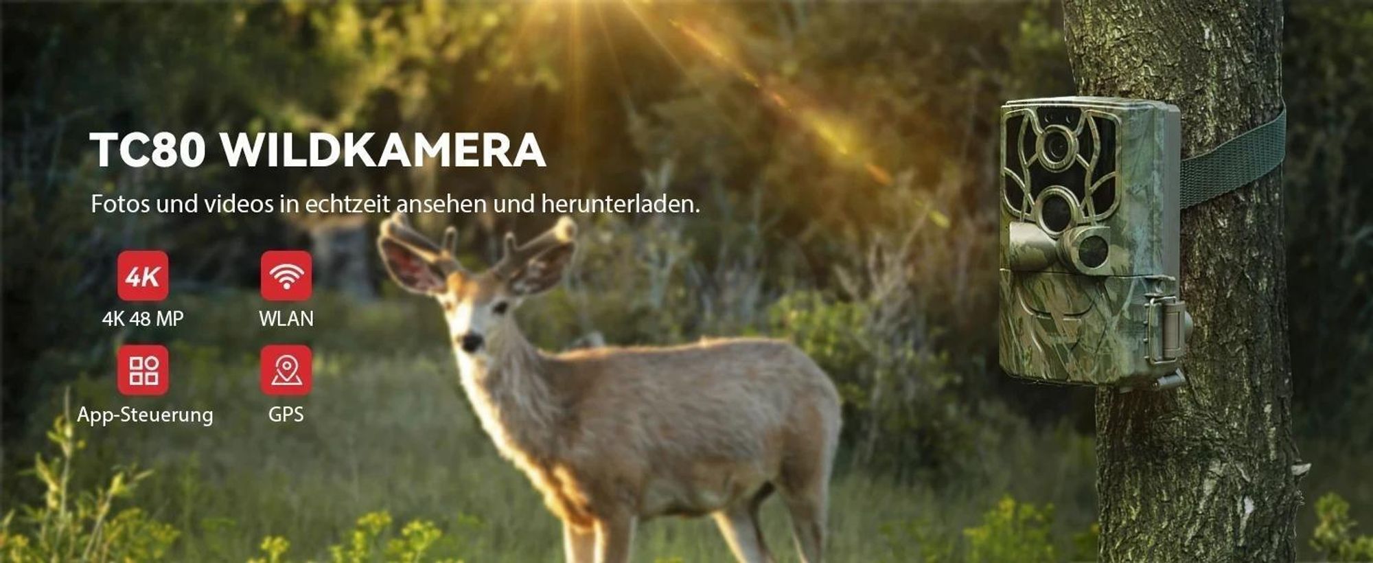 4K Wildkamera mit Handyübertragung App Wildkamera Wlan mit Bewegungsmelder Nachtsicht Wasserdicht 0,5S Auslösen Inklu 32GB SD-Karte 8 AA-Batterien