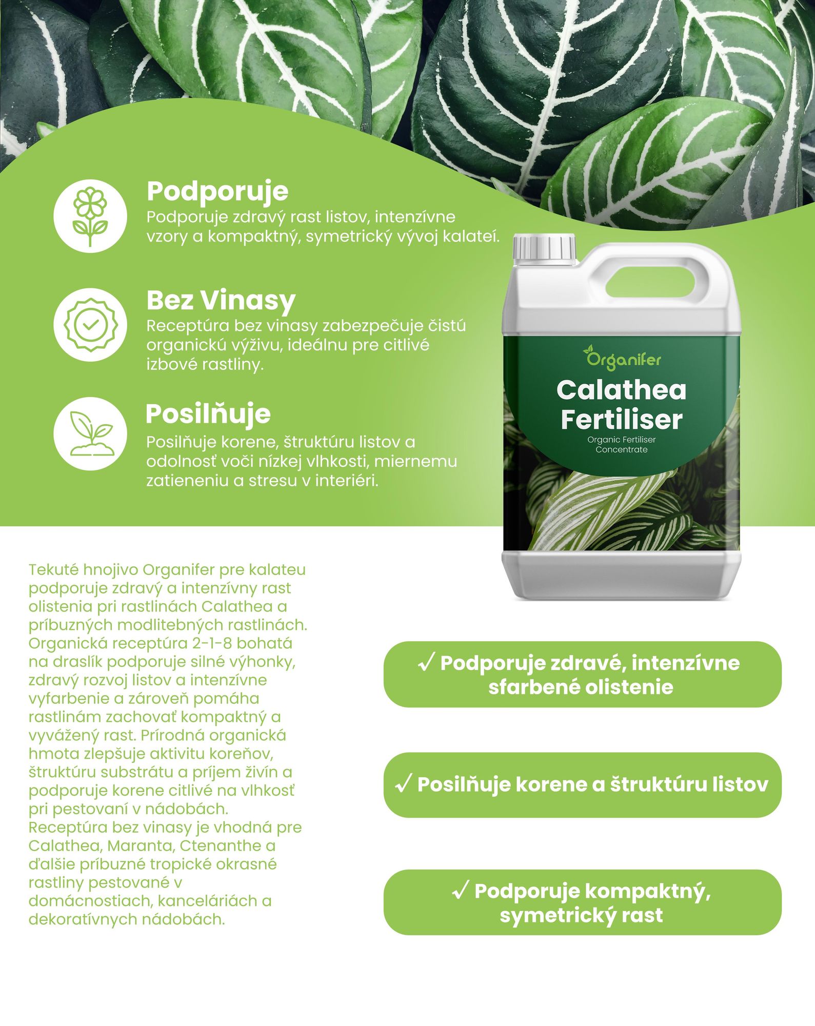 Calathea, tekuté hnojivo, 1 L – vzťah živín NPK: 2-1-8 – pre izbové rastliny – pre zdravé listy a bohatú vegetáciu – podporuje rast koreňov a vitalitu – organické