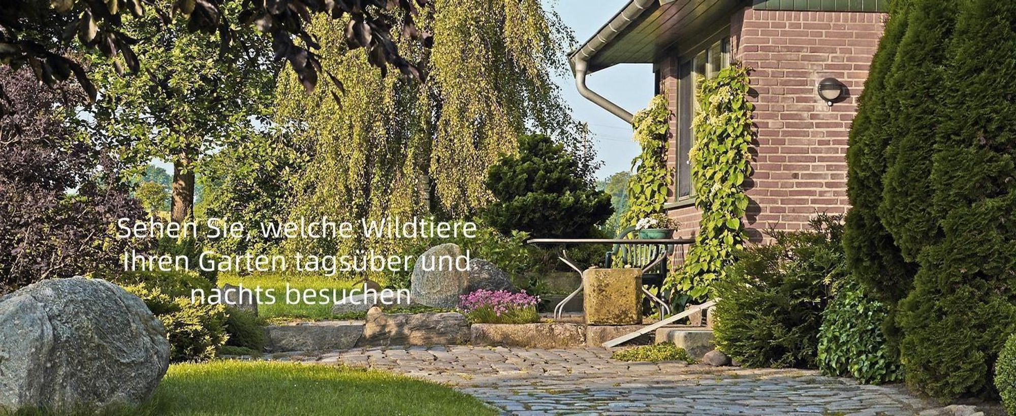 2Stk Wildkamera 4K 36MP Abzugsentfernung Bis 20m mit Bewegungsmelder Nachtsicht