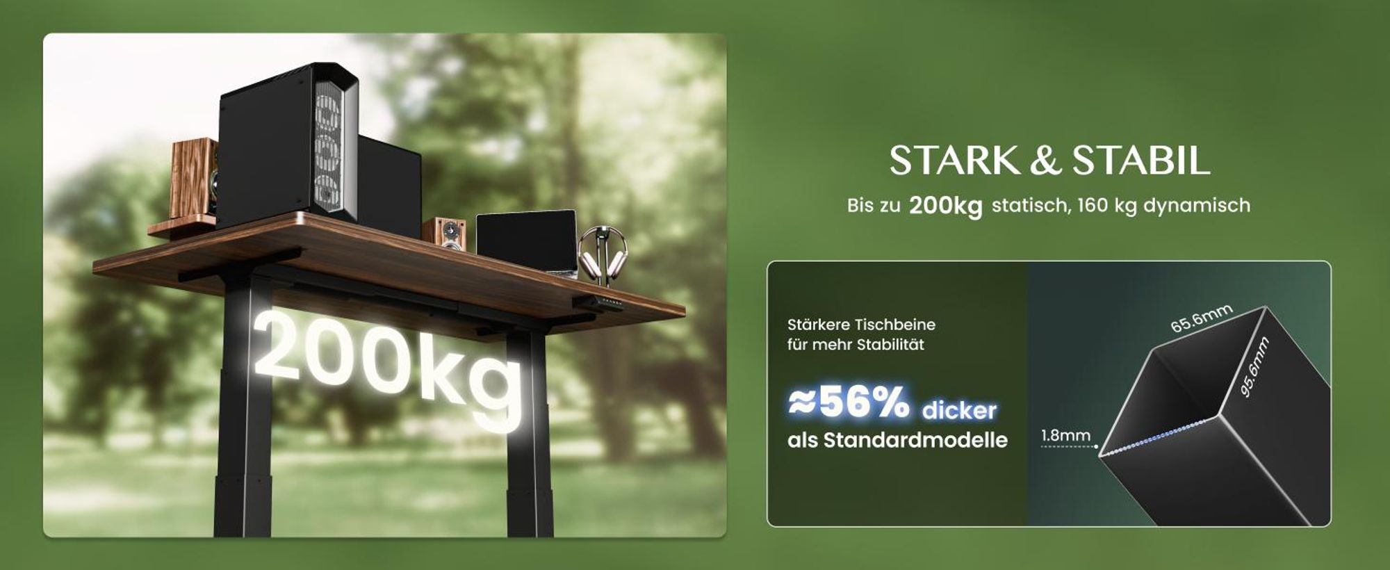 FLEXISPOT ValtreX E200 Höhenverstellbarer Schreibtisch 160x80cm 200KG TRAGKRAFT, 25MM EINTEILIGE TISCHPLATTE, 2 Motoren, USB-Anschluss, Ahorn